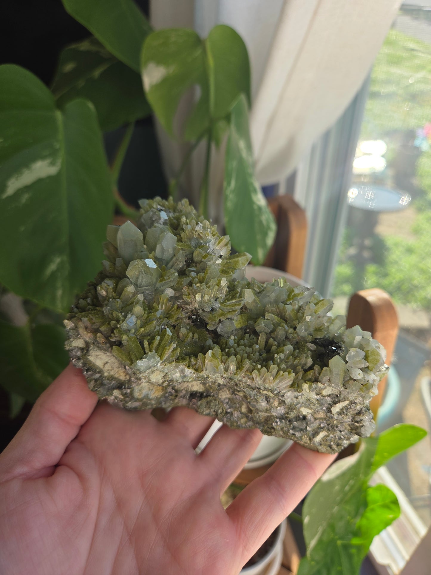 Chlorite Quartz and Epidote Dragon Head