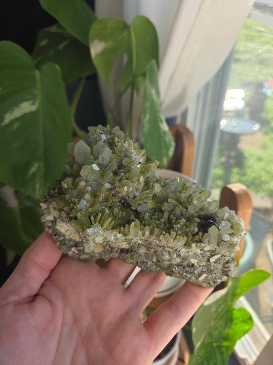 Chlorite Quartz and Epidote Dragon Head