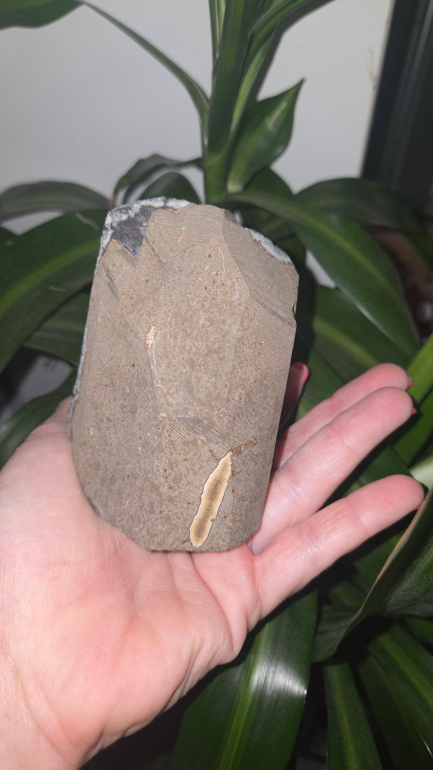Grey Amethyst Cutbase