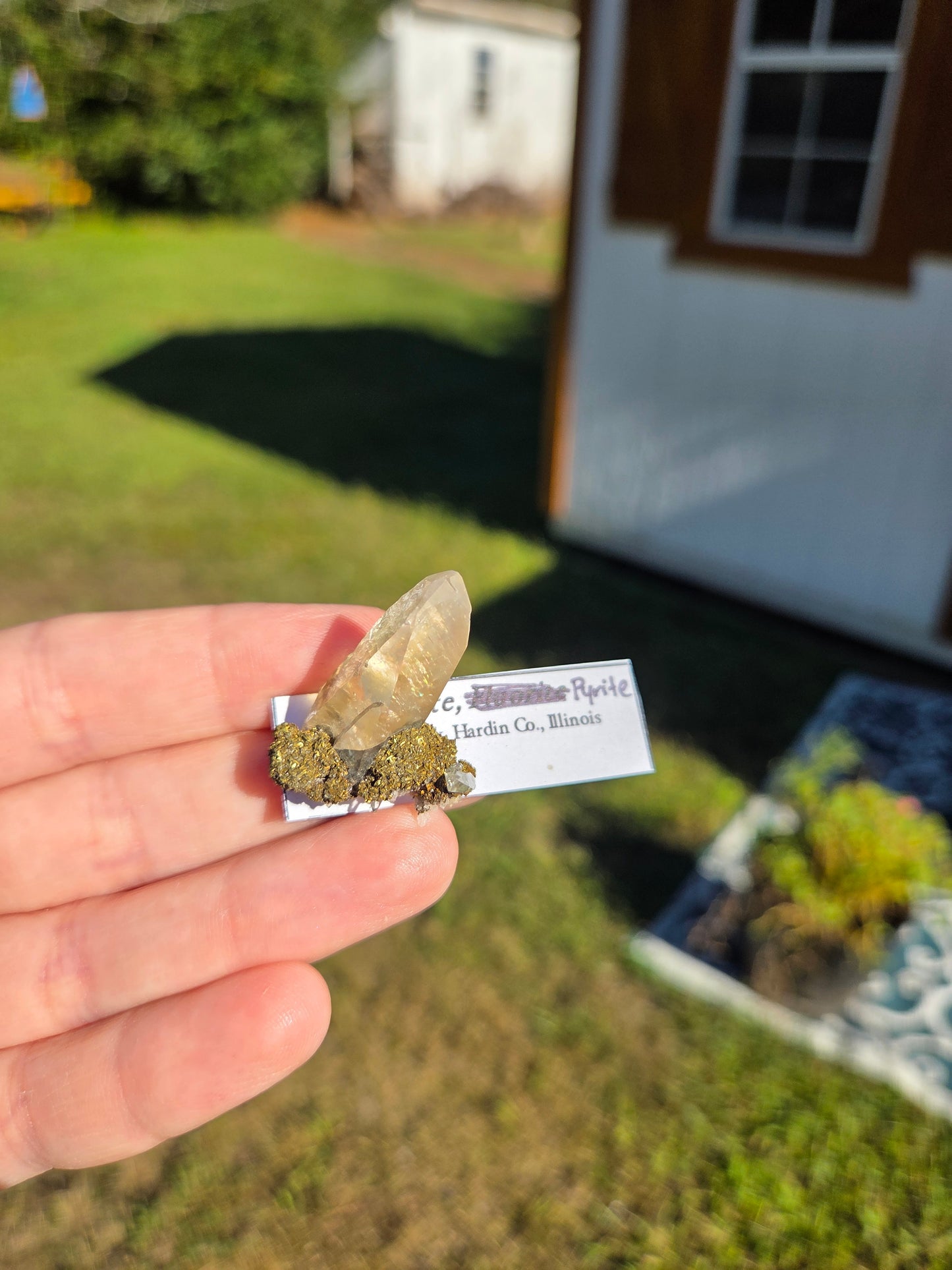 Calcite/ Pryite (Illinois)