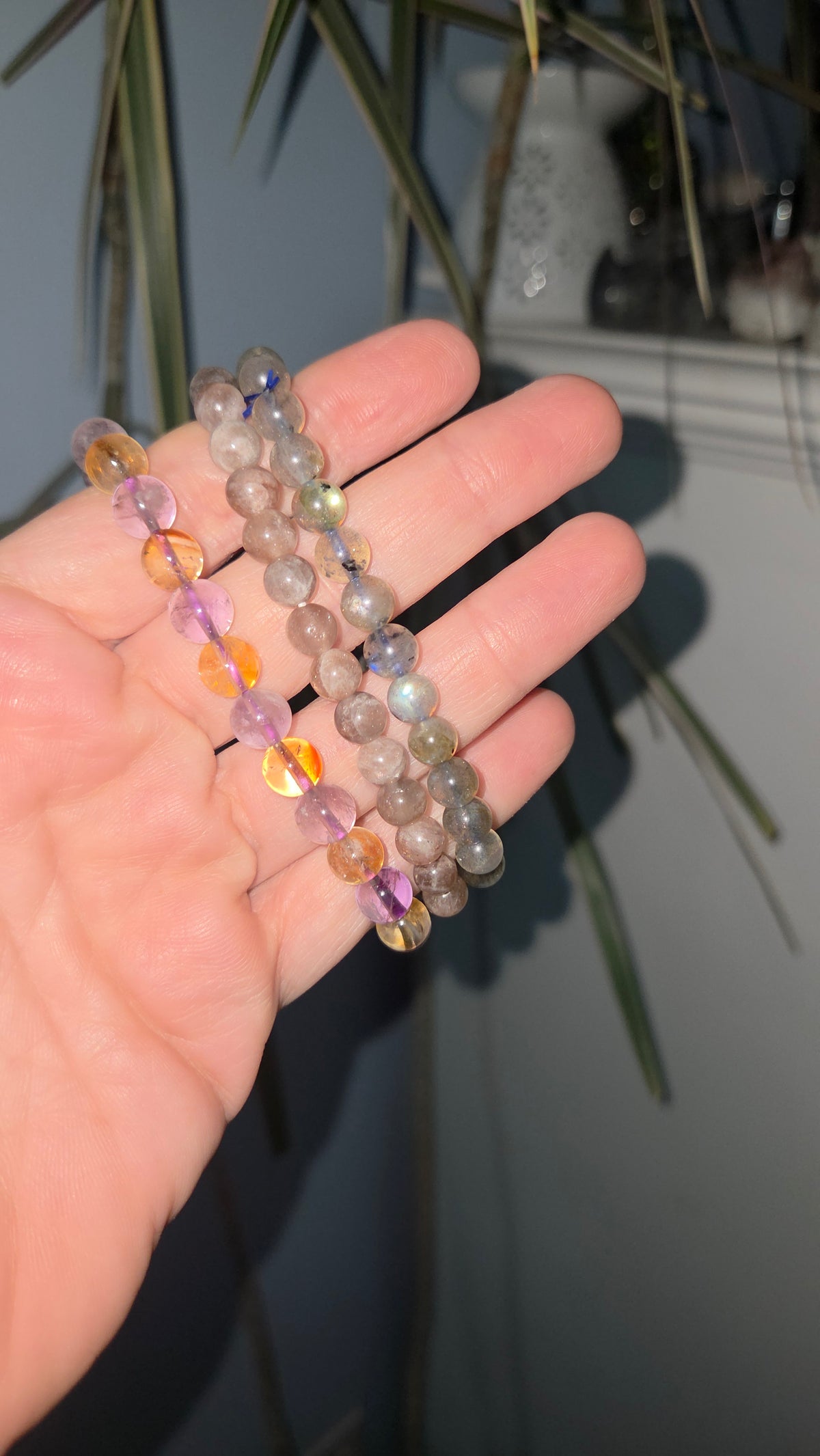 Crystalcoveco