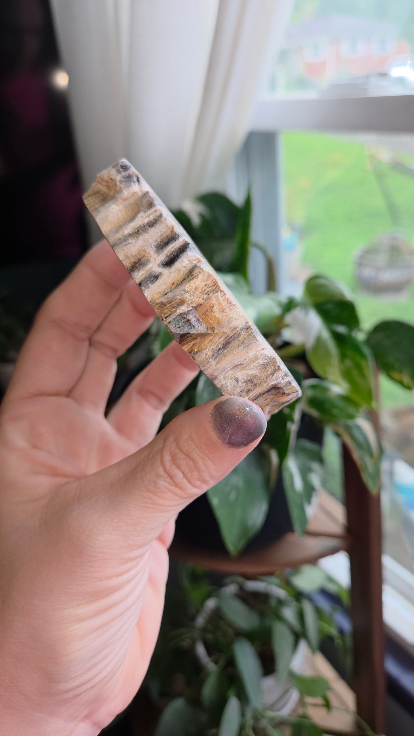 Petrified Wood Sphere Holder (12e)