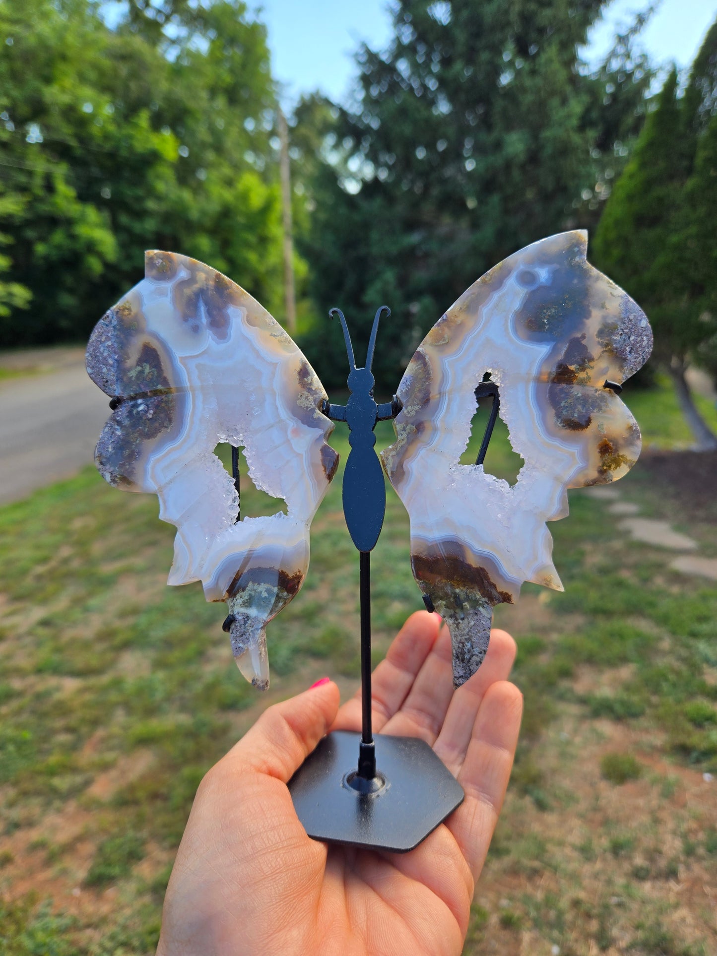 Scenic Moss Butterfly Wings 🦋