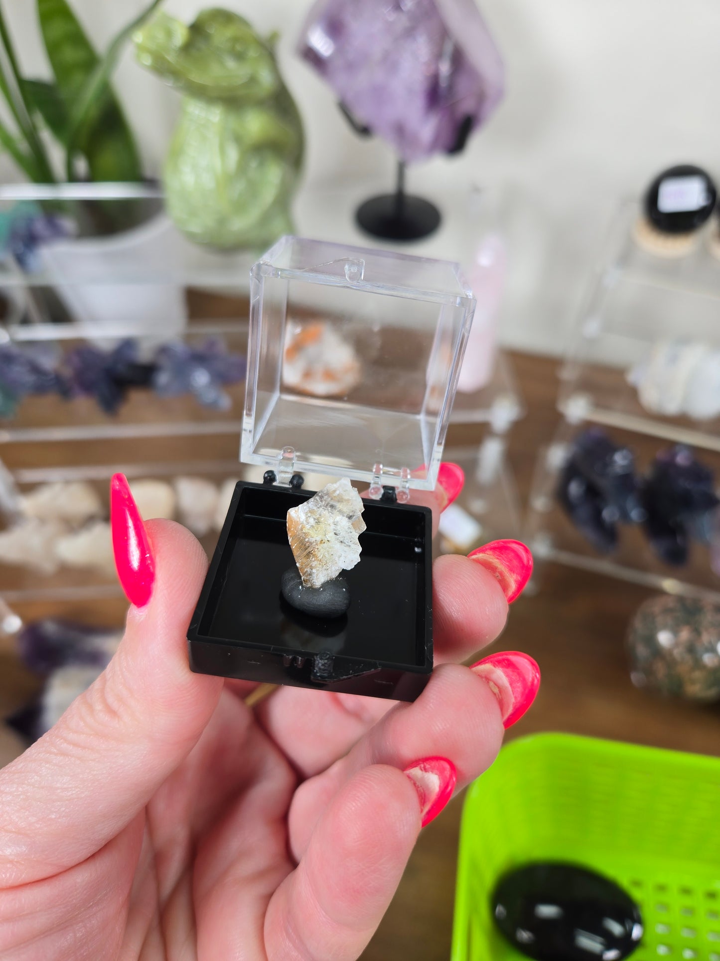 Live Sale thestarr141