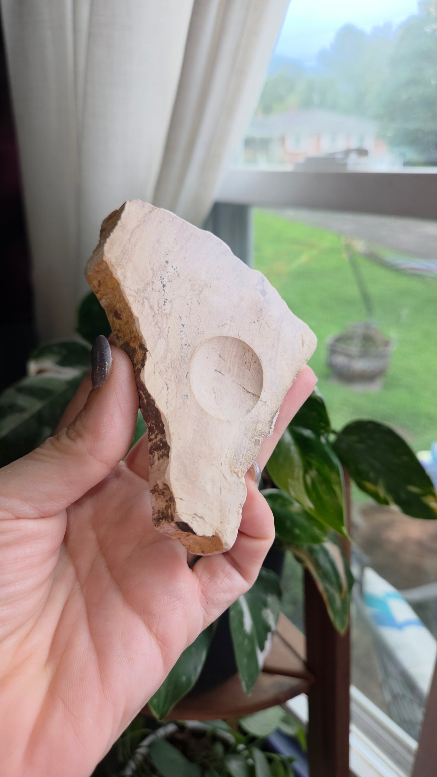 Petrified Wood Sphere Holder (12b)