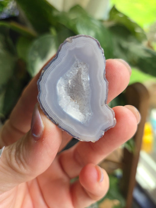 Coyamito Agate Geodes from Mexico