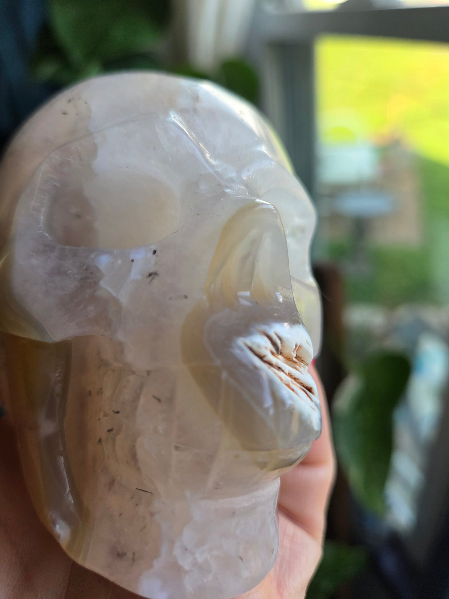 Dendritic Agate Skull