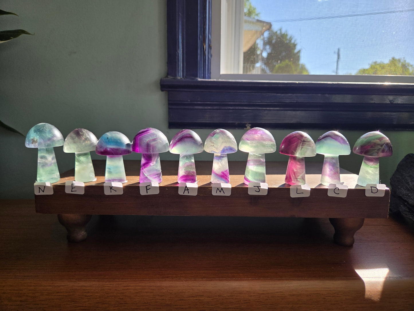Fluorite Mushroom