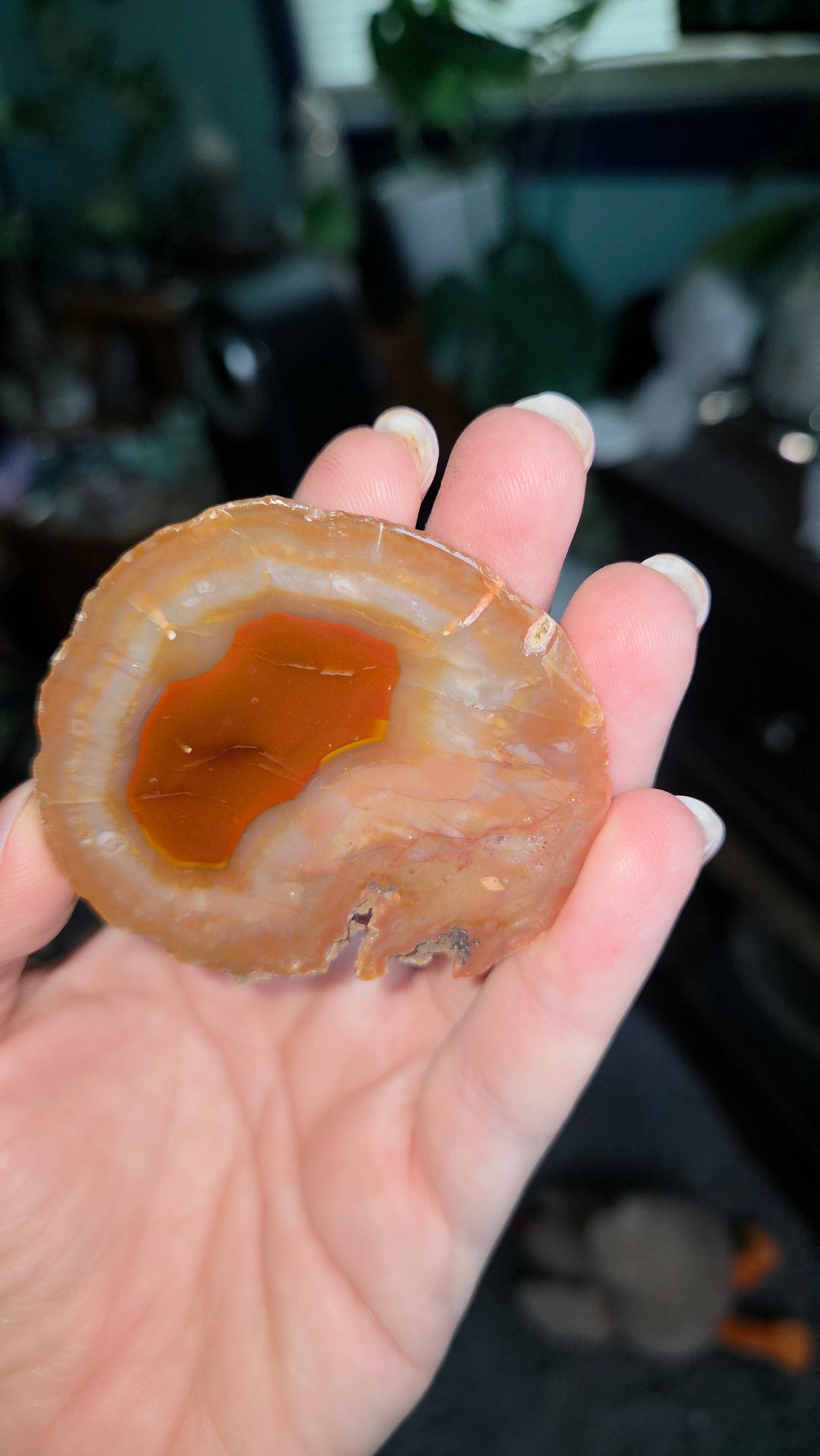 Coyamito Agate Geodes from Mexico