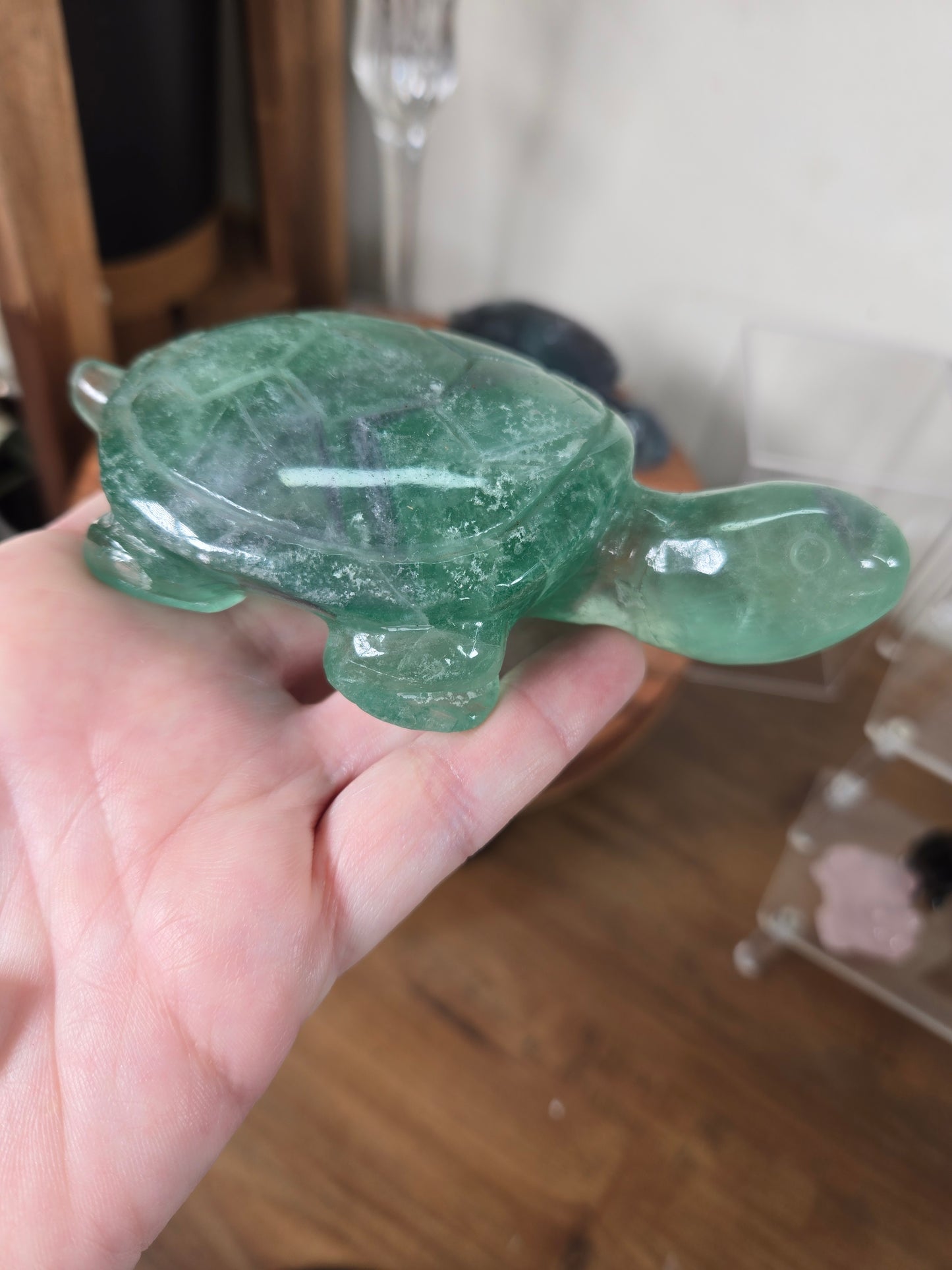 Fluorite Turtles