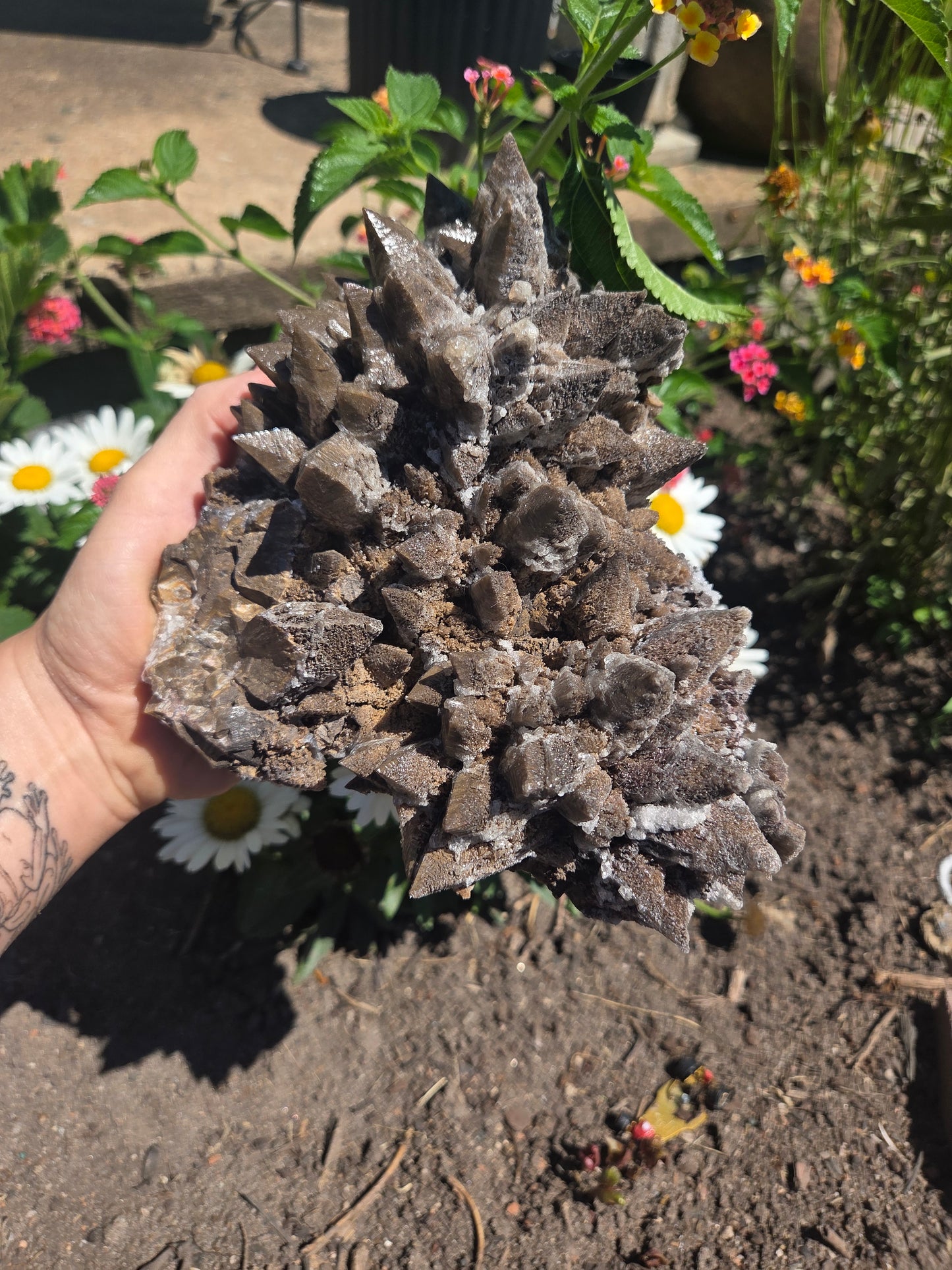 Dogtooth Calcite with Secondary Selenite Coating (Mexico)