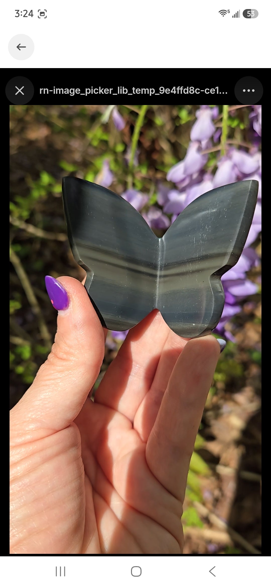Platinum Obsidian Butterfly (3d)