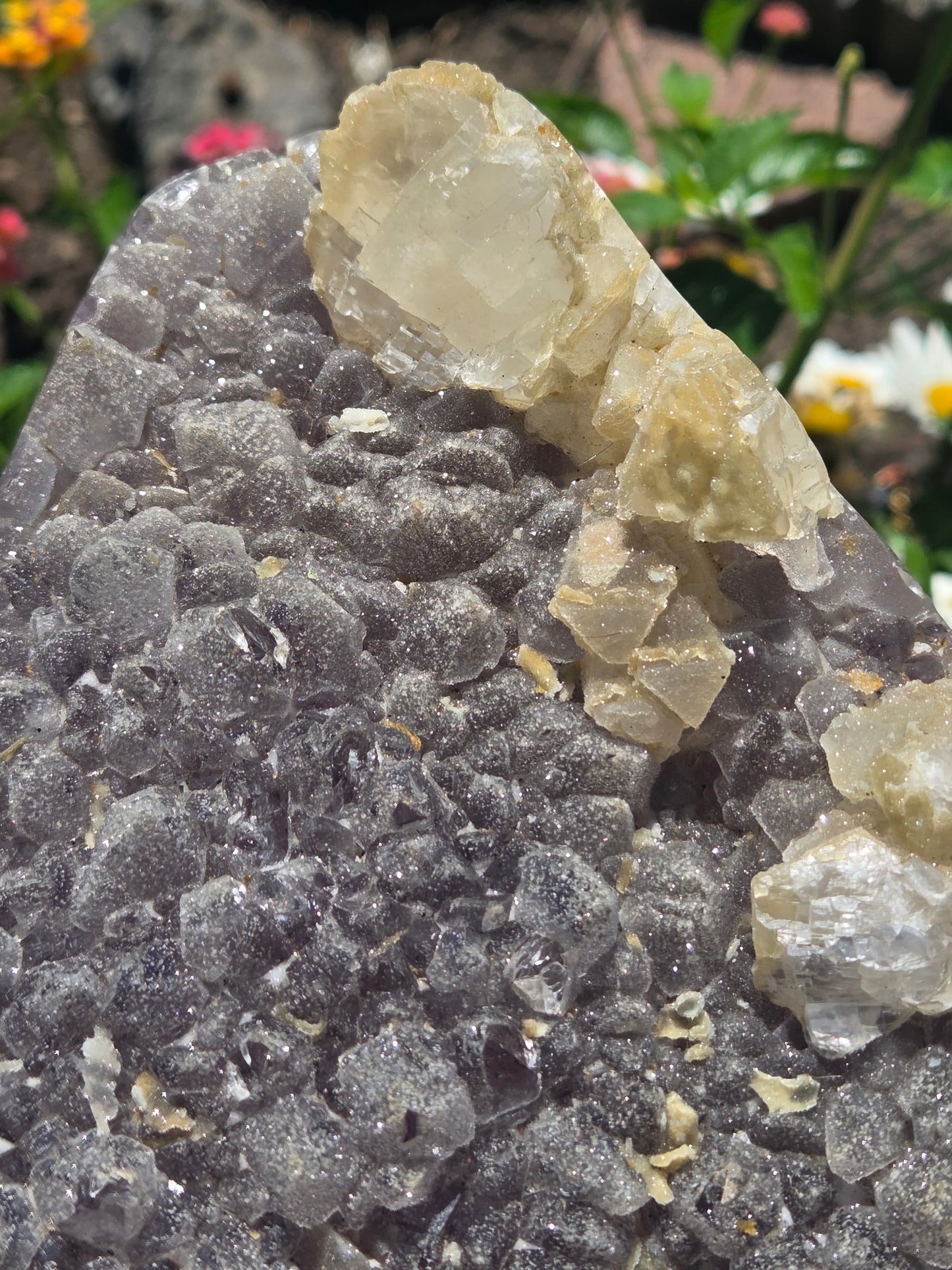 Sugar Amethyst Freeform (self stands)