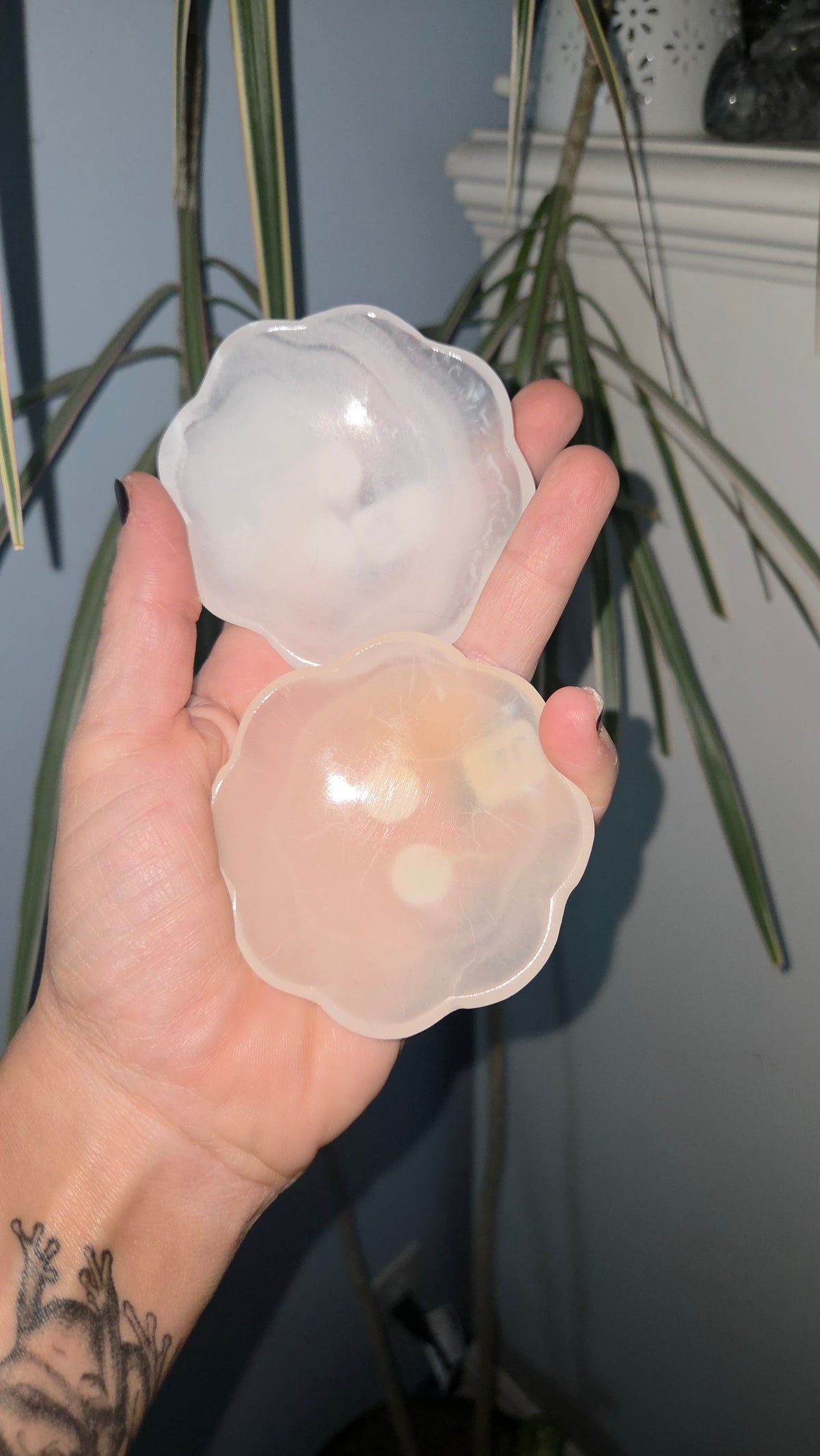 Crystalcoveco