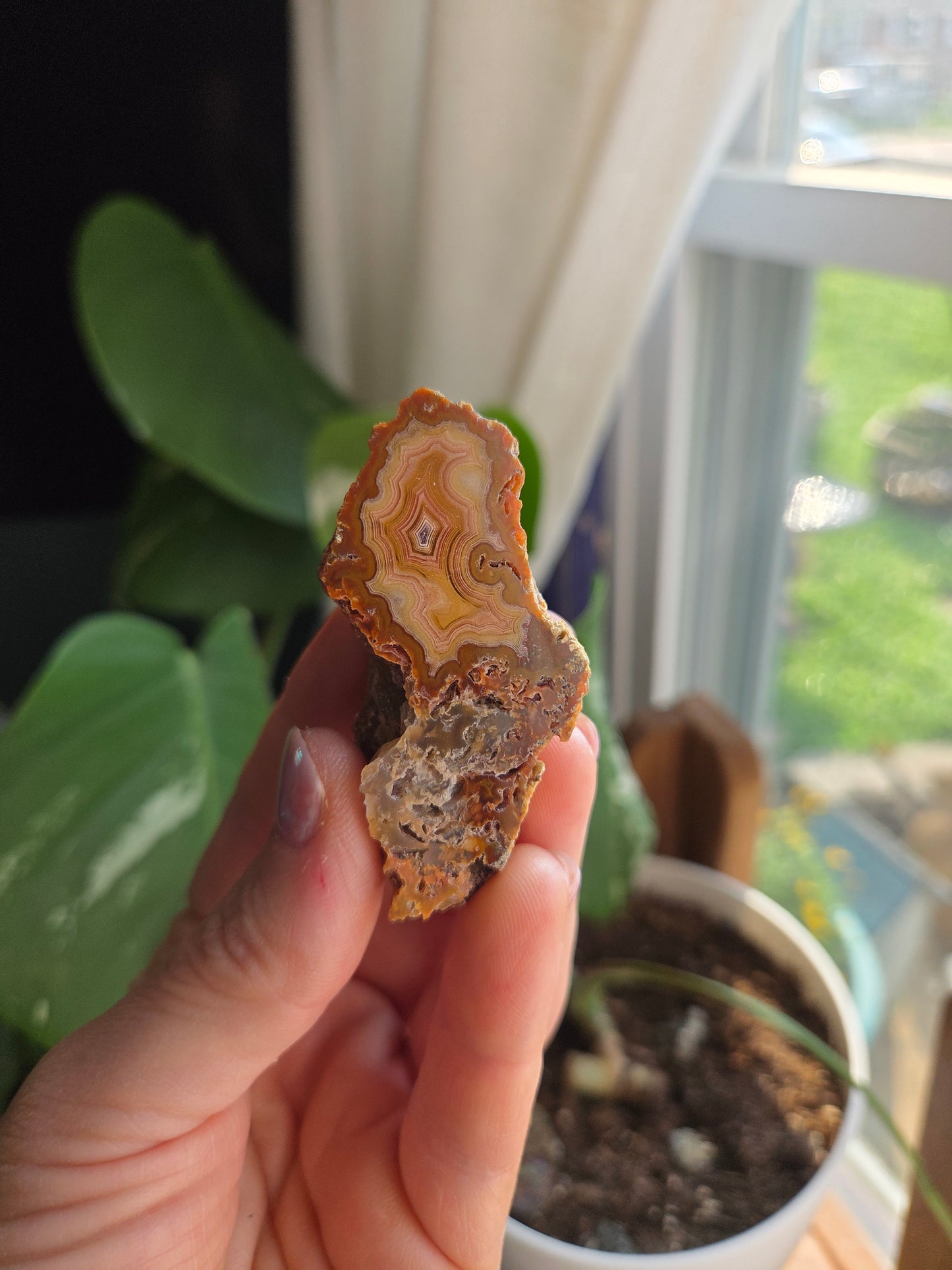 Laguna Agate