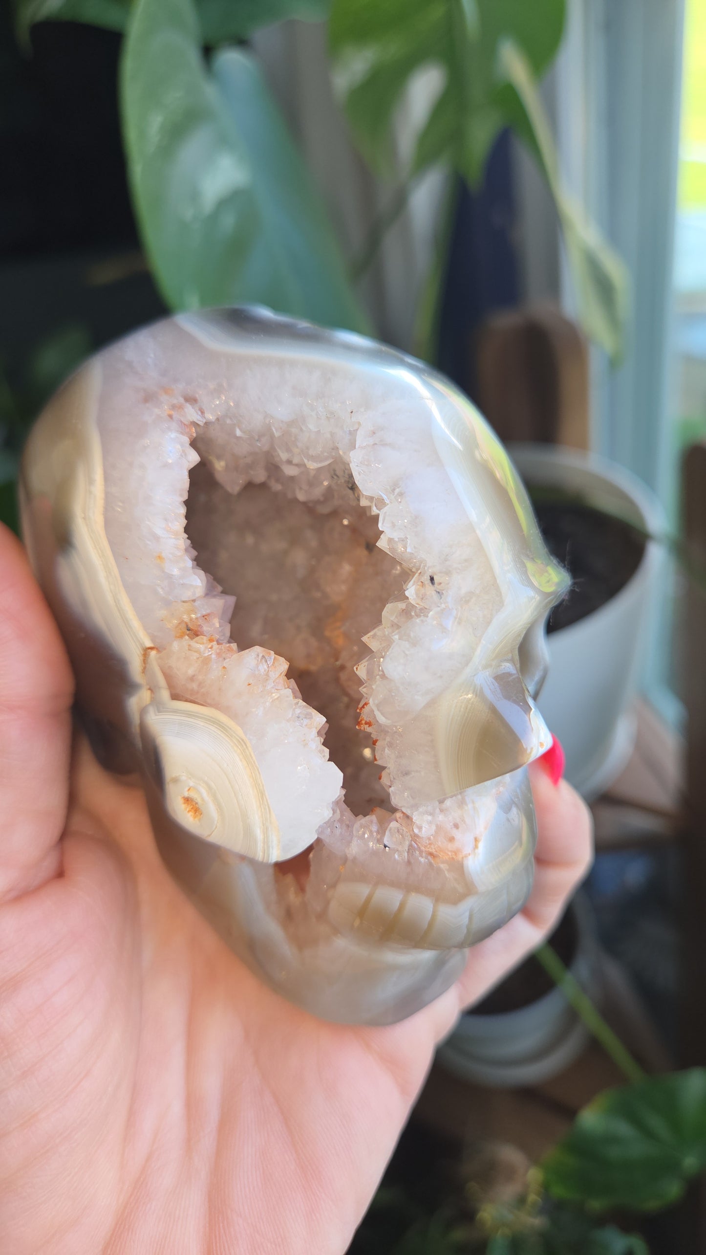 Dendritic Agate Skull