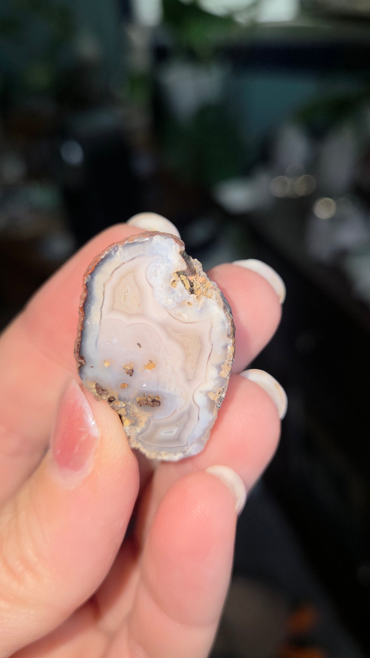 Coyamito Agate Geodes from Mexico
