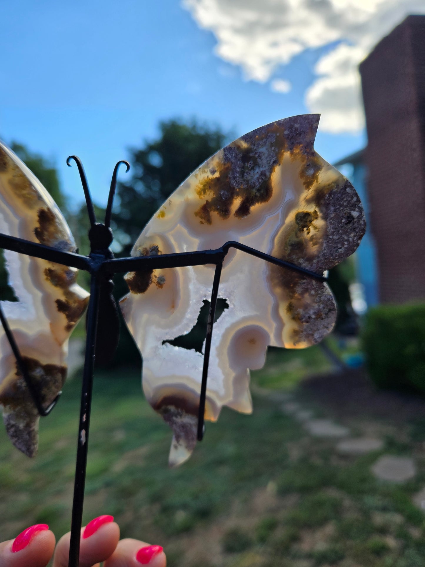 Scenic Moss Butterfly Wings 🦋