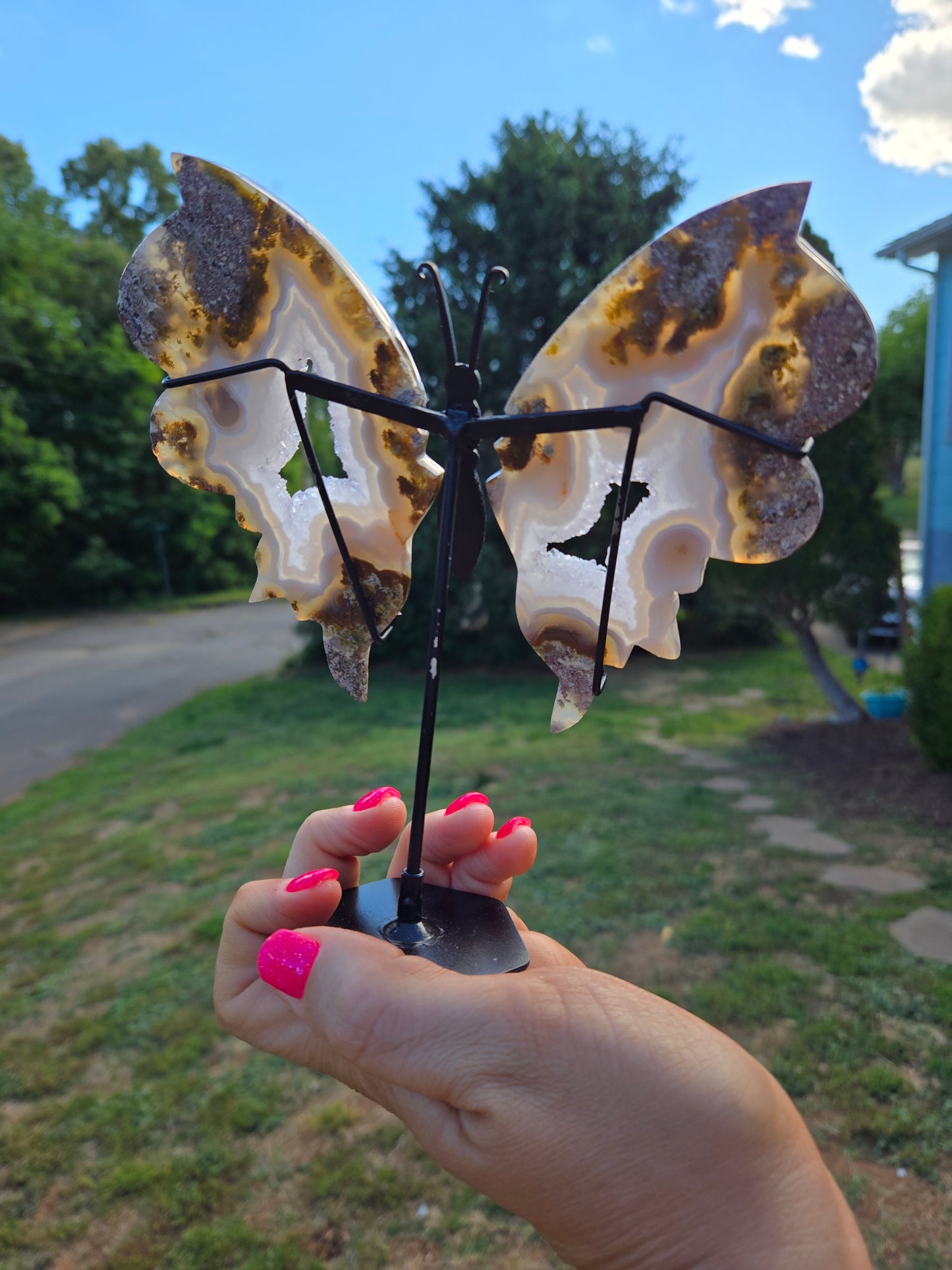 Scenic Moss Butterfly Wings 🦋