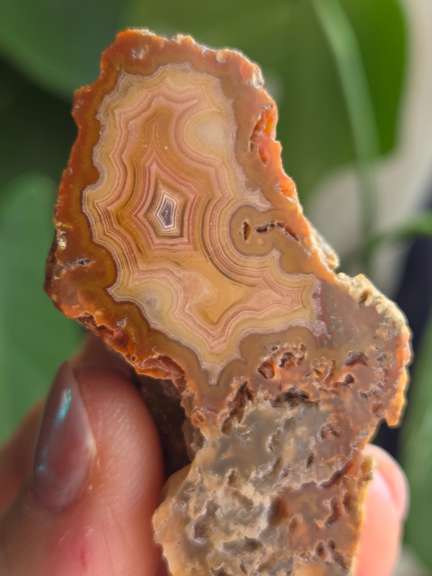 Laguna Agate