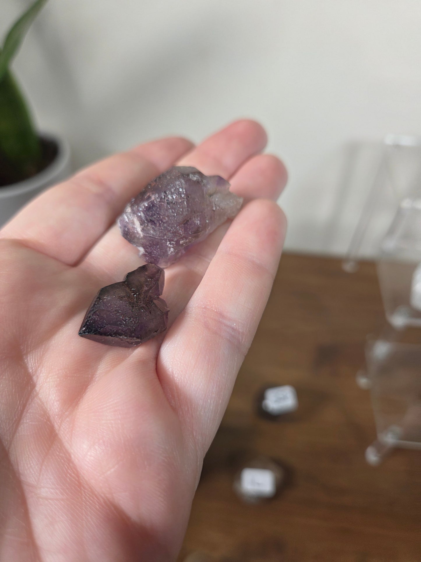 Live Sale thestarr141