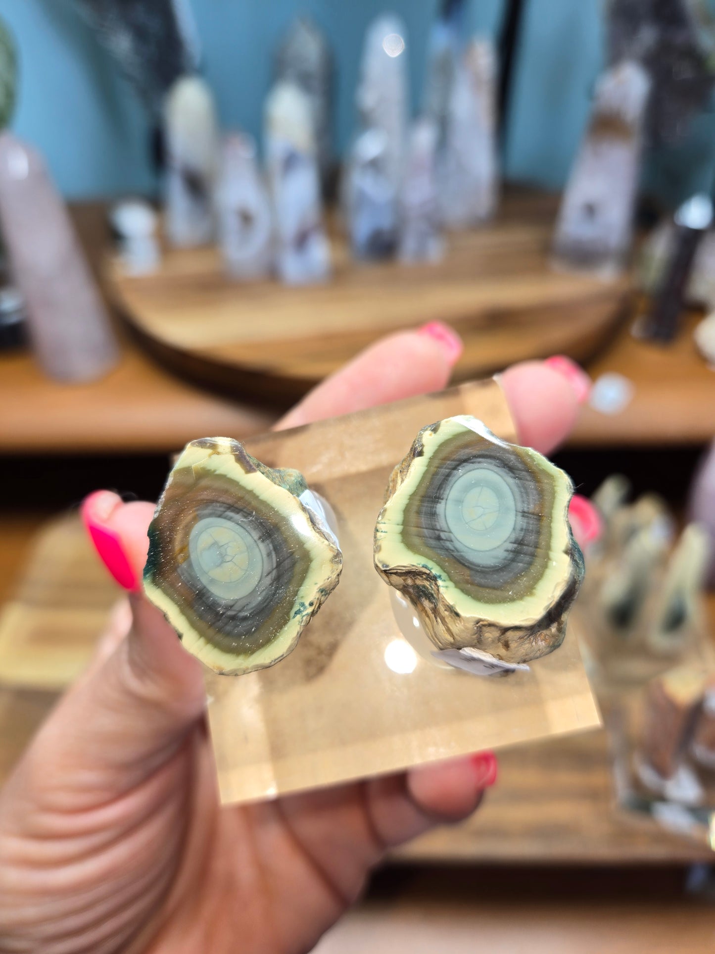 Imperial Jasper (Mexico)