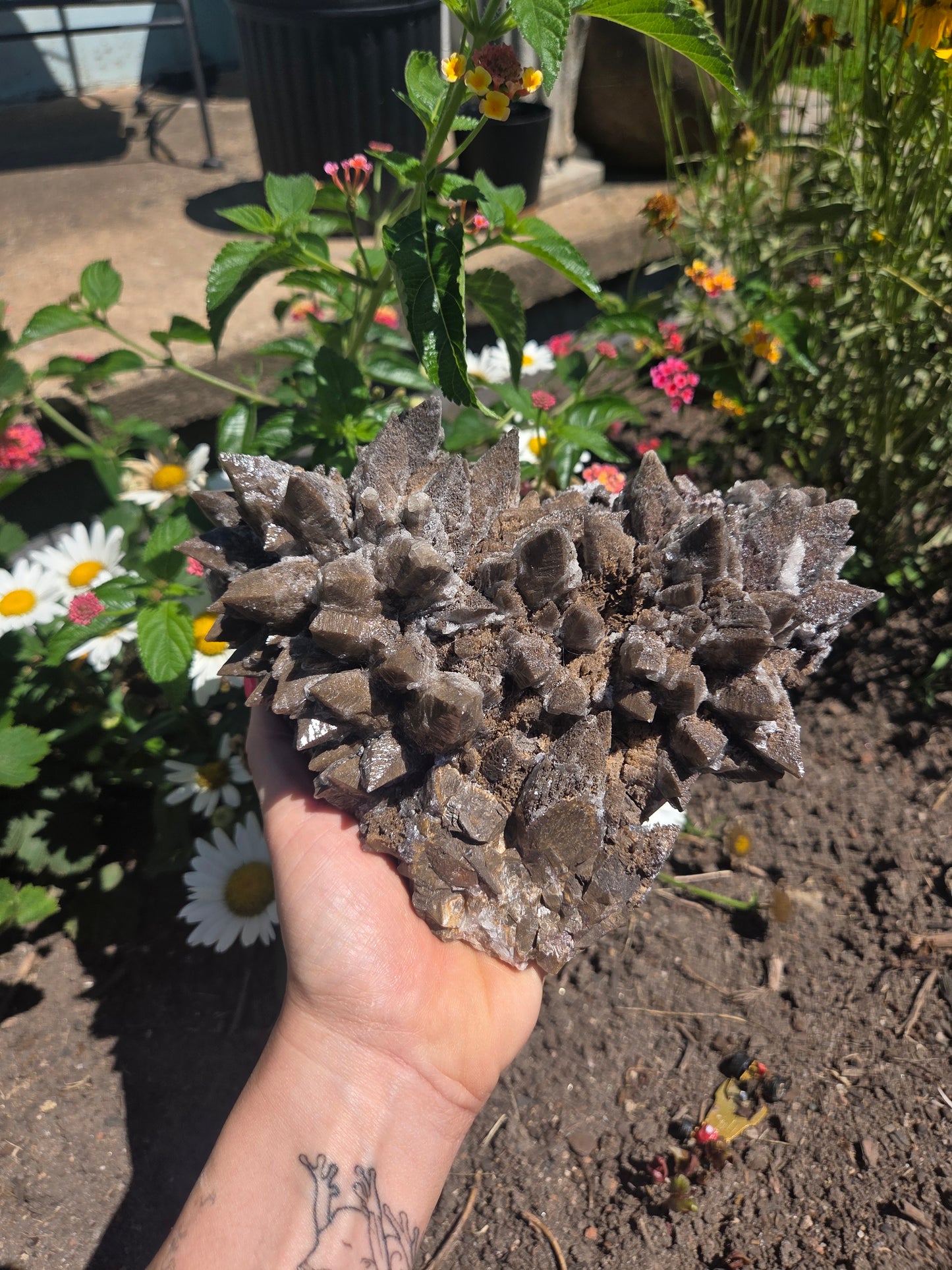 Dogtooth Calcite with Secondary Selenite Coating (Mexico)