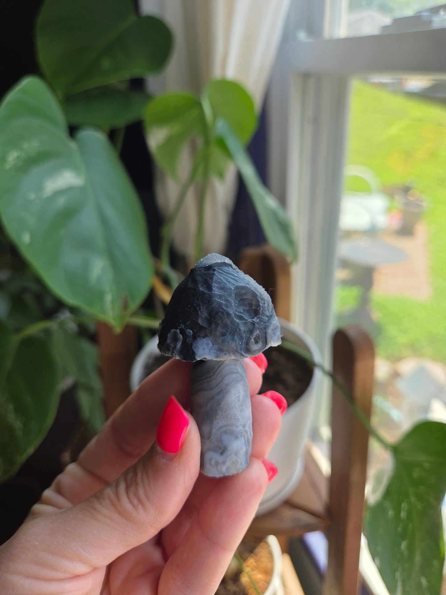 Gobi Agate Mushroom