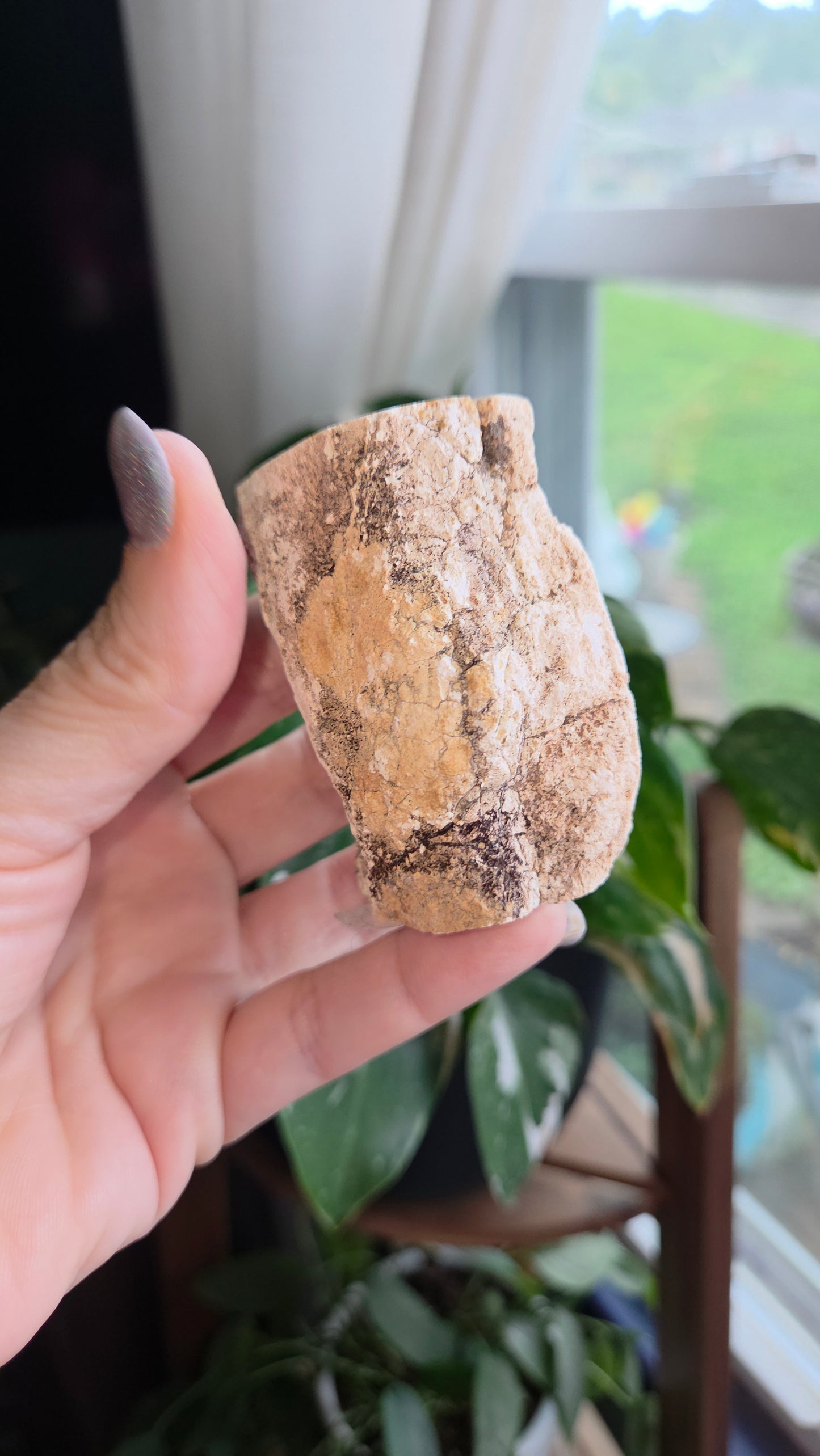 Petrified Wood Log (18c)