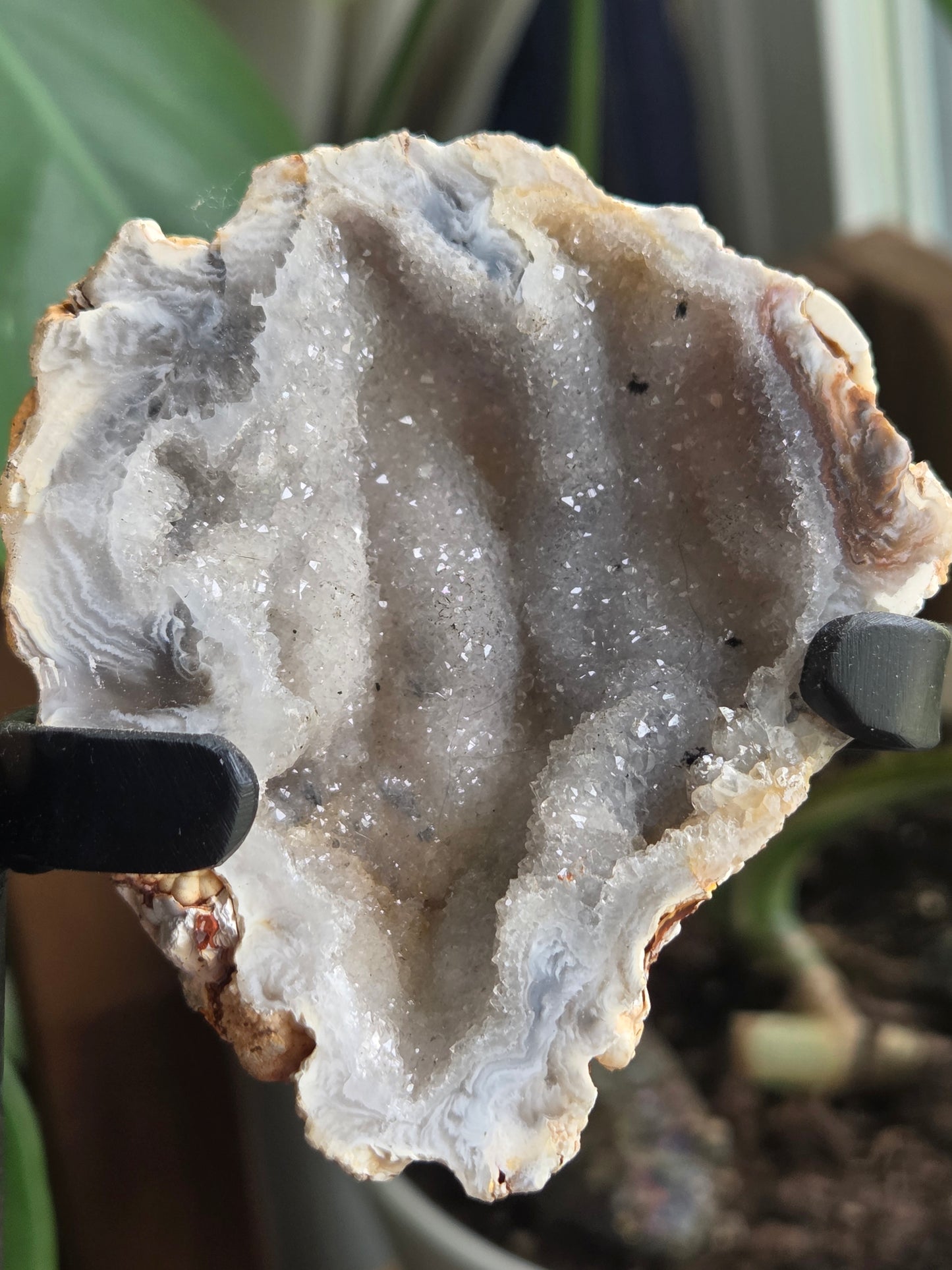 Butterfly Geode