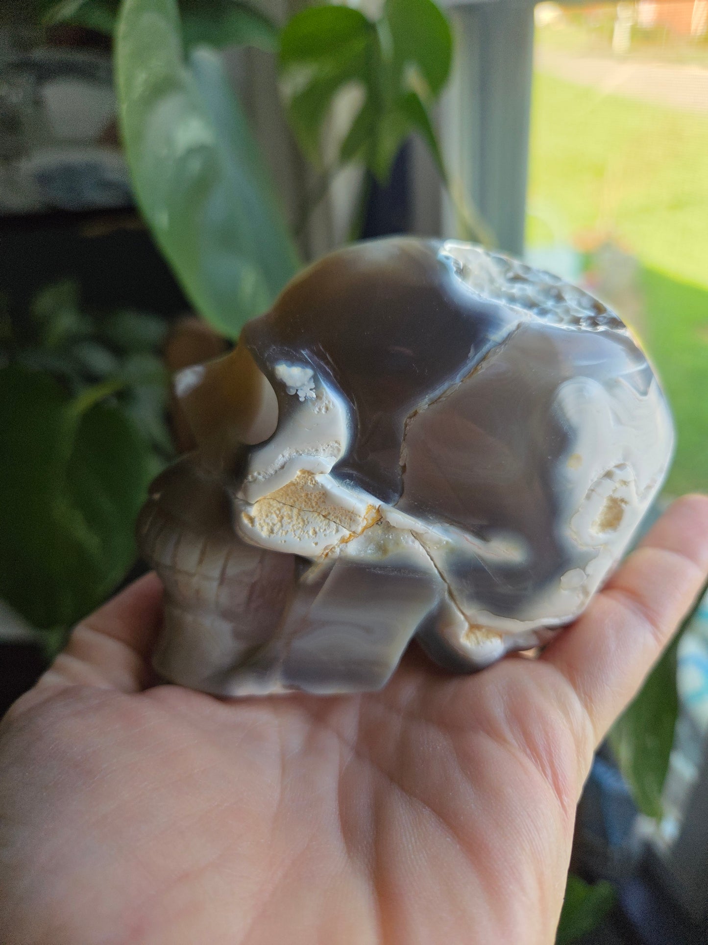 Dendritic Agate Skull