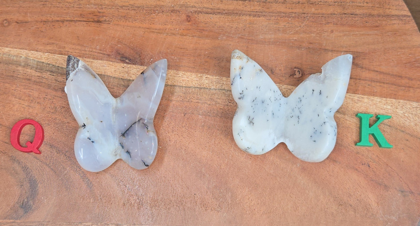 Dendritic Butterfly