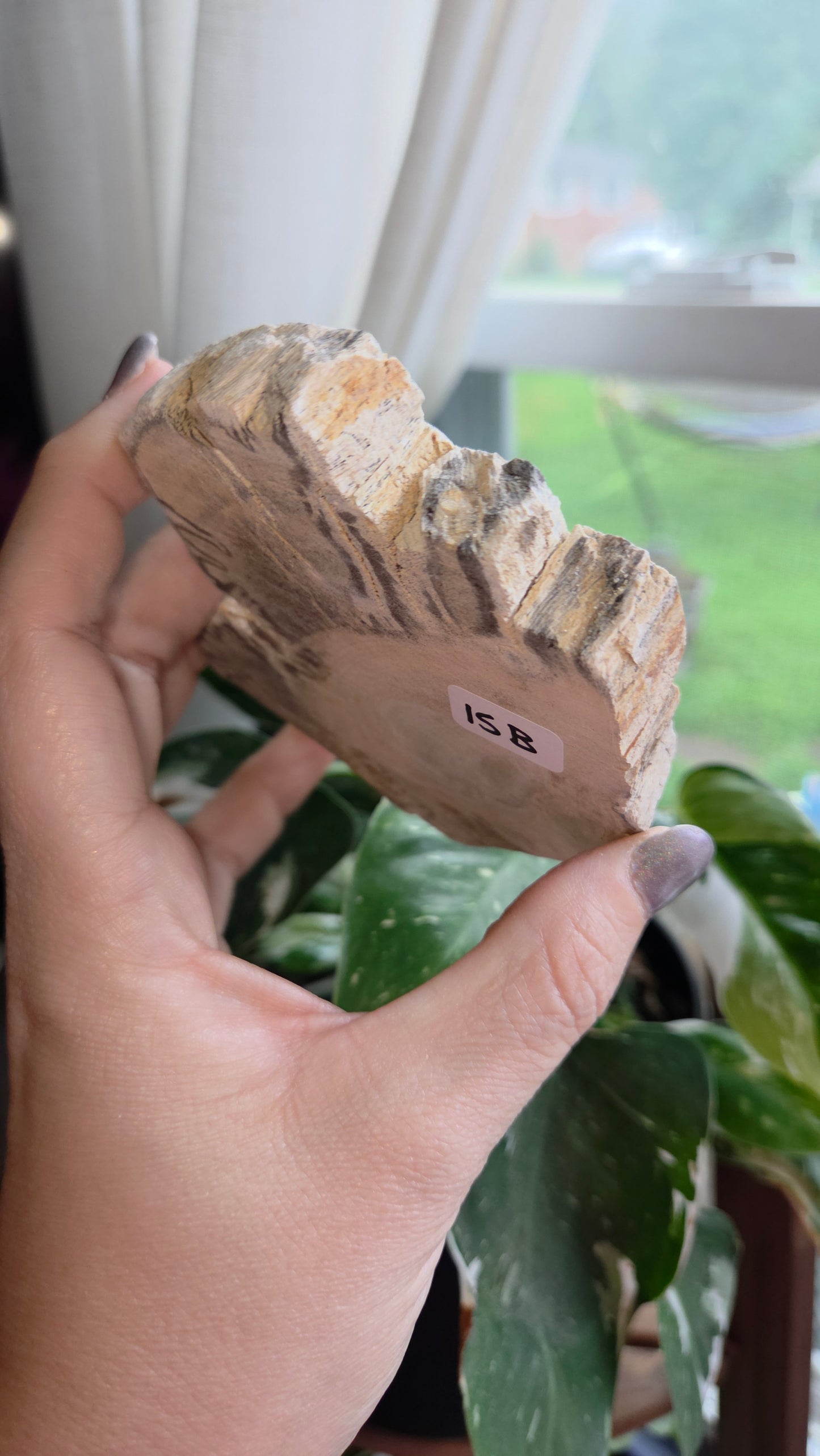 Petrified Wood Sphere Holder (15b)