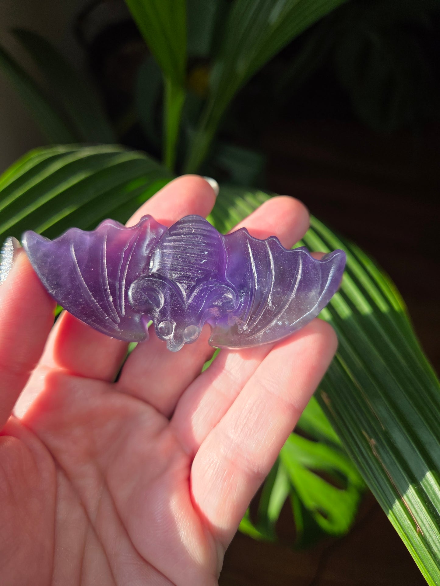 Fluorite Bat