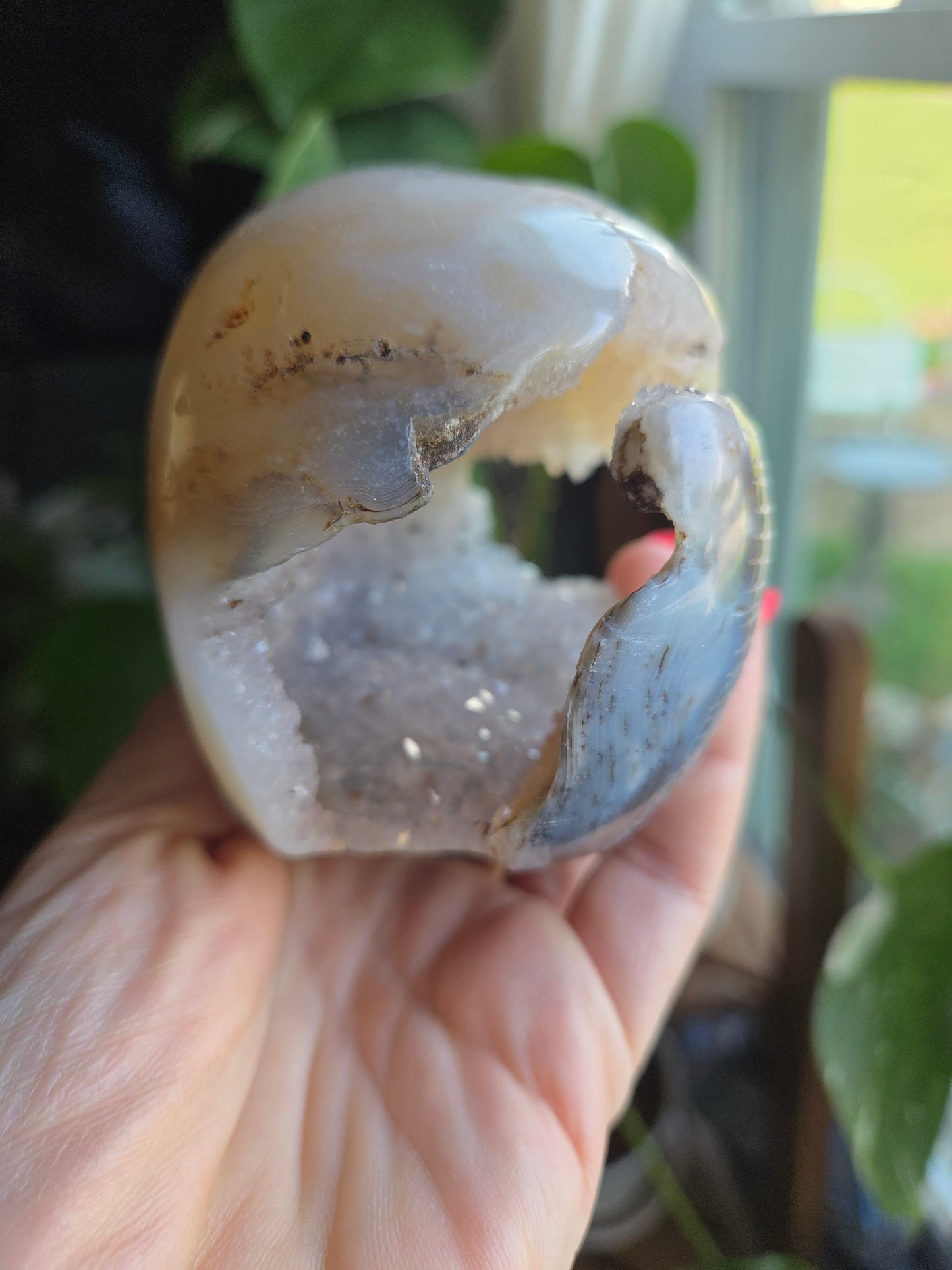 Dendritic Agate Skull