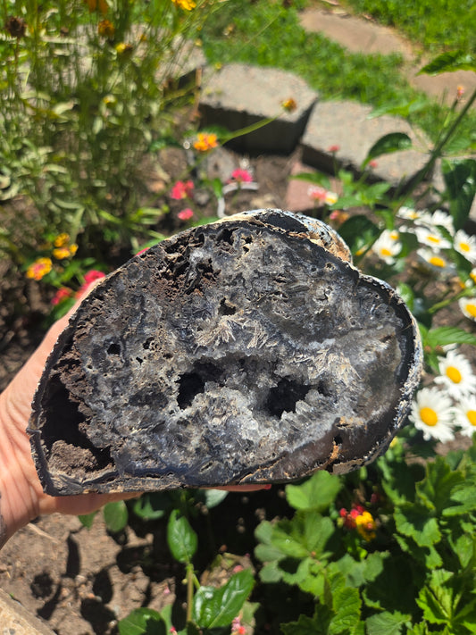 Black Agate Geode with Exposed Rutile