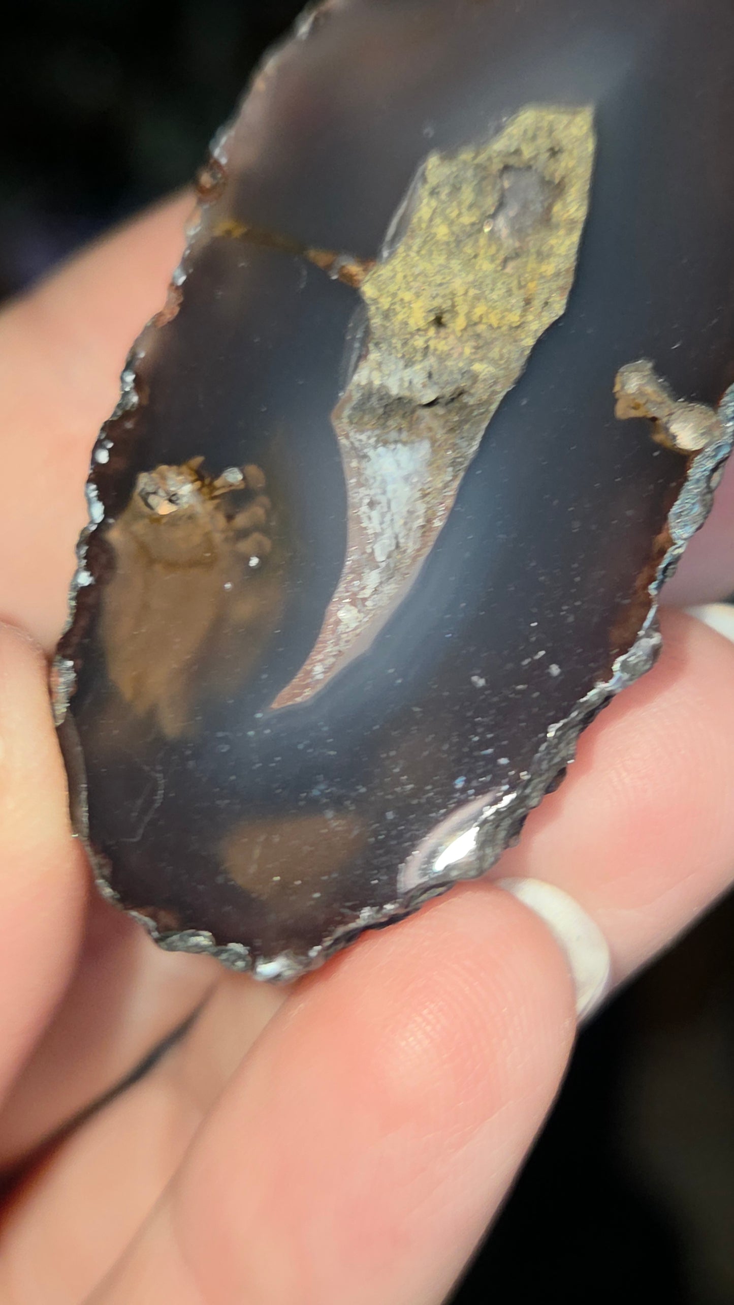 Coyamito Agate Geodes from Mexico