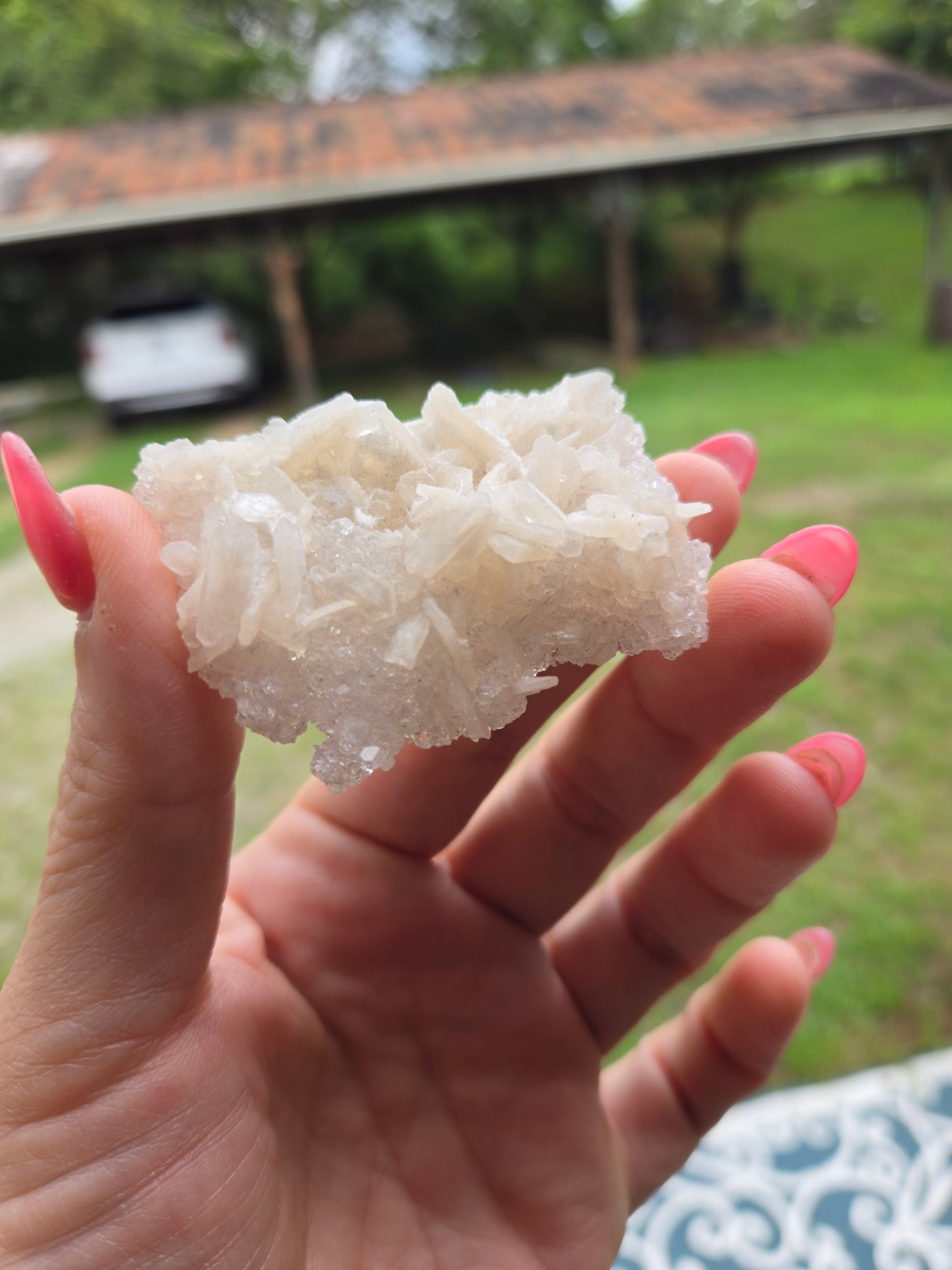 Live Sale thestarr141