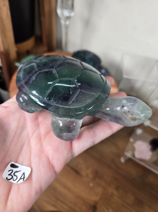 Fluorite Turtles