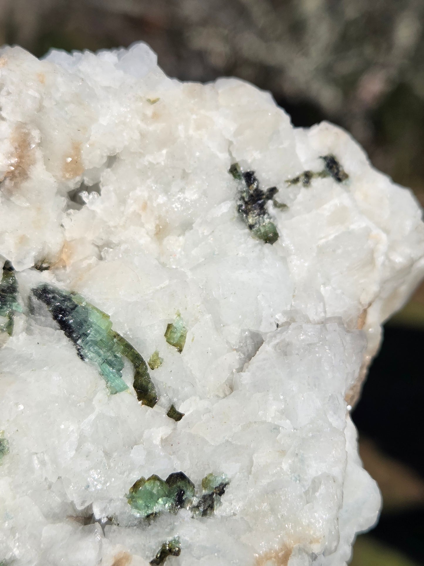 Green Tourmaline and Aqua in Albite