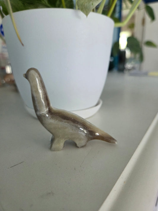 Dino (onyx)(C)