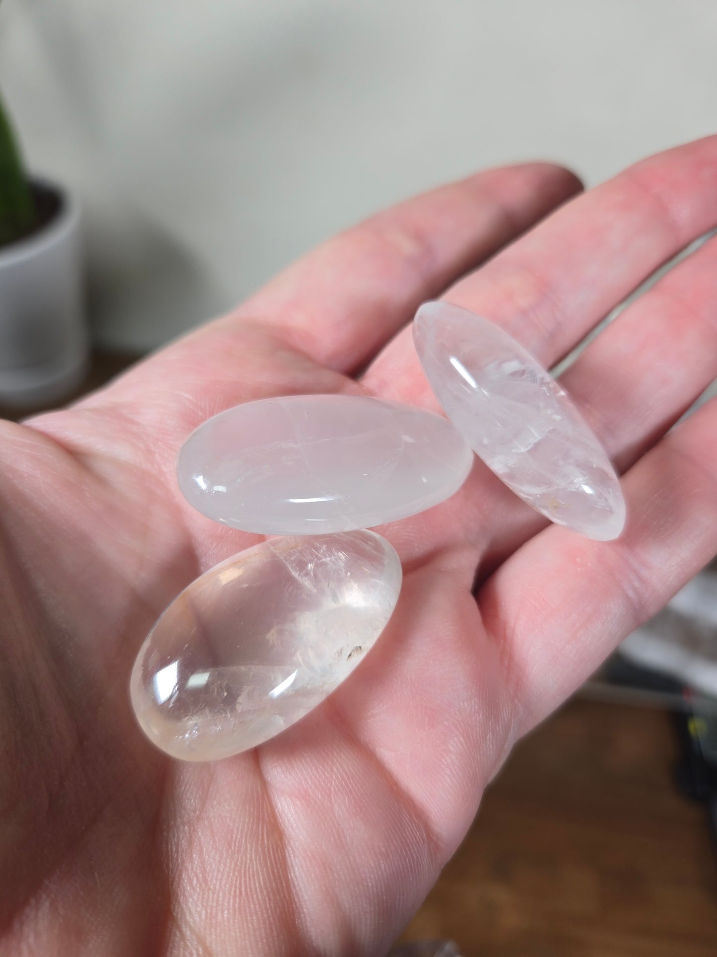 Girasol Tumble/ Palm