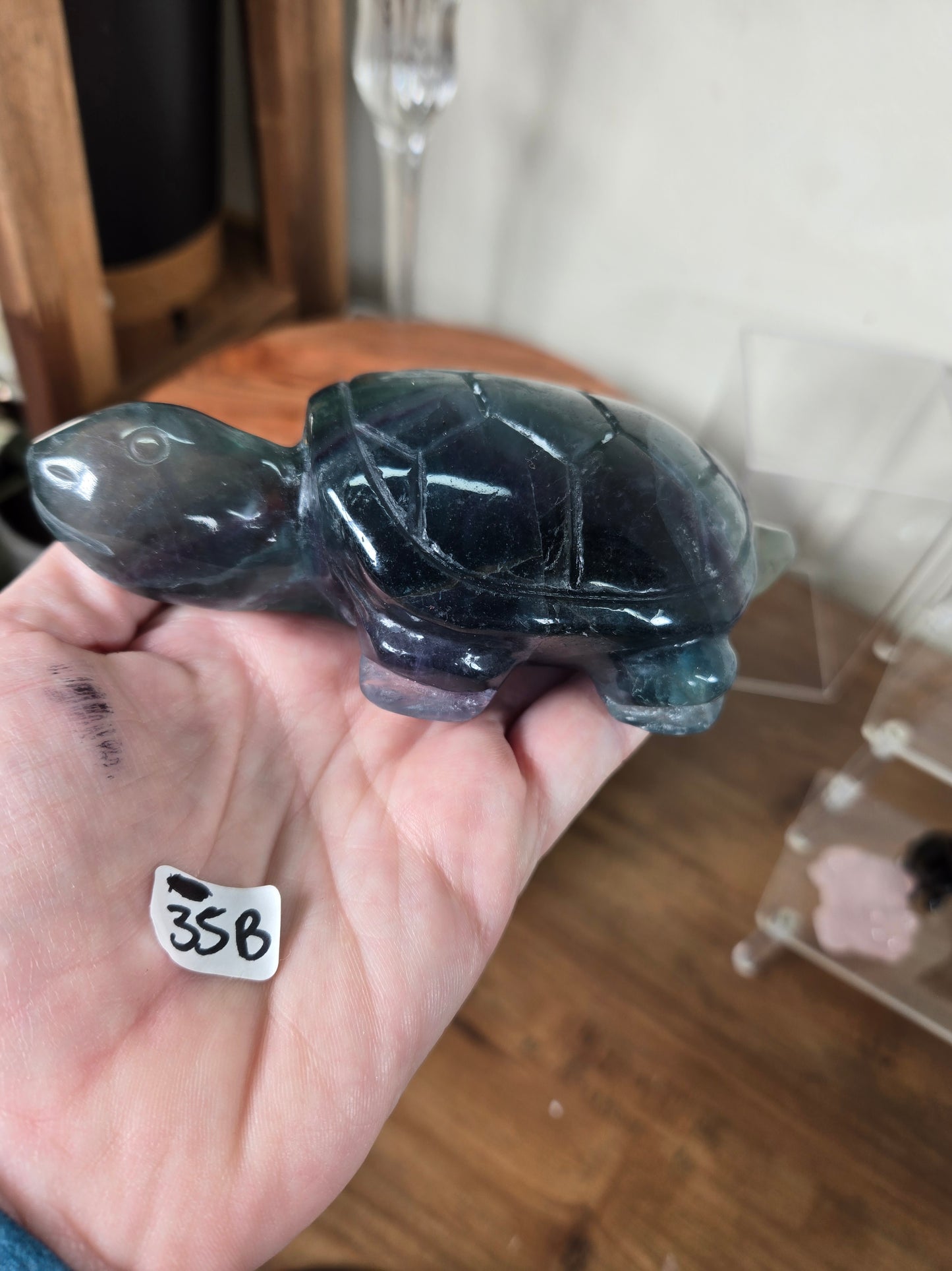 Fluorite Turtles