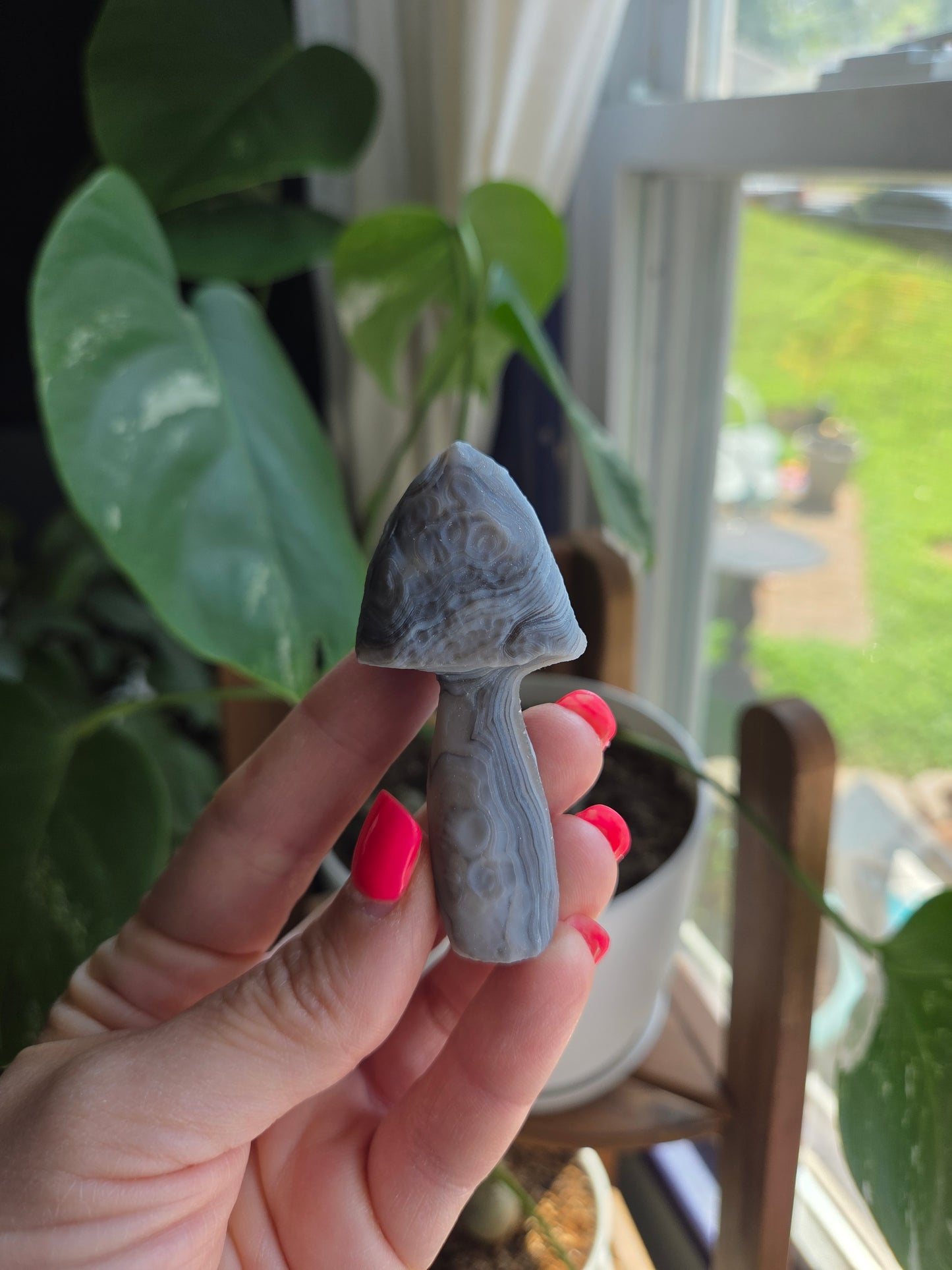 Gobi Agate Mushroom