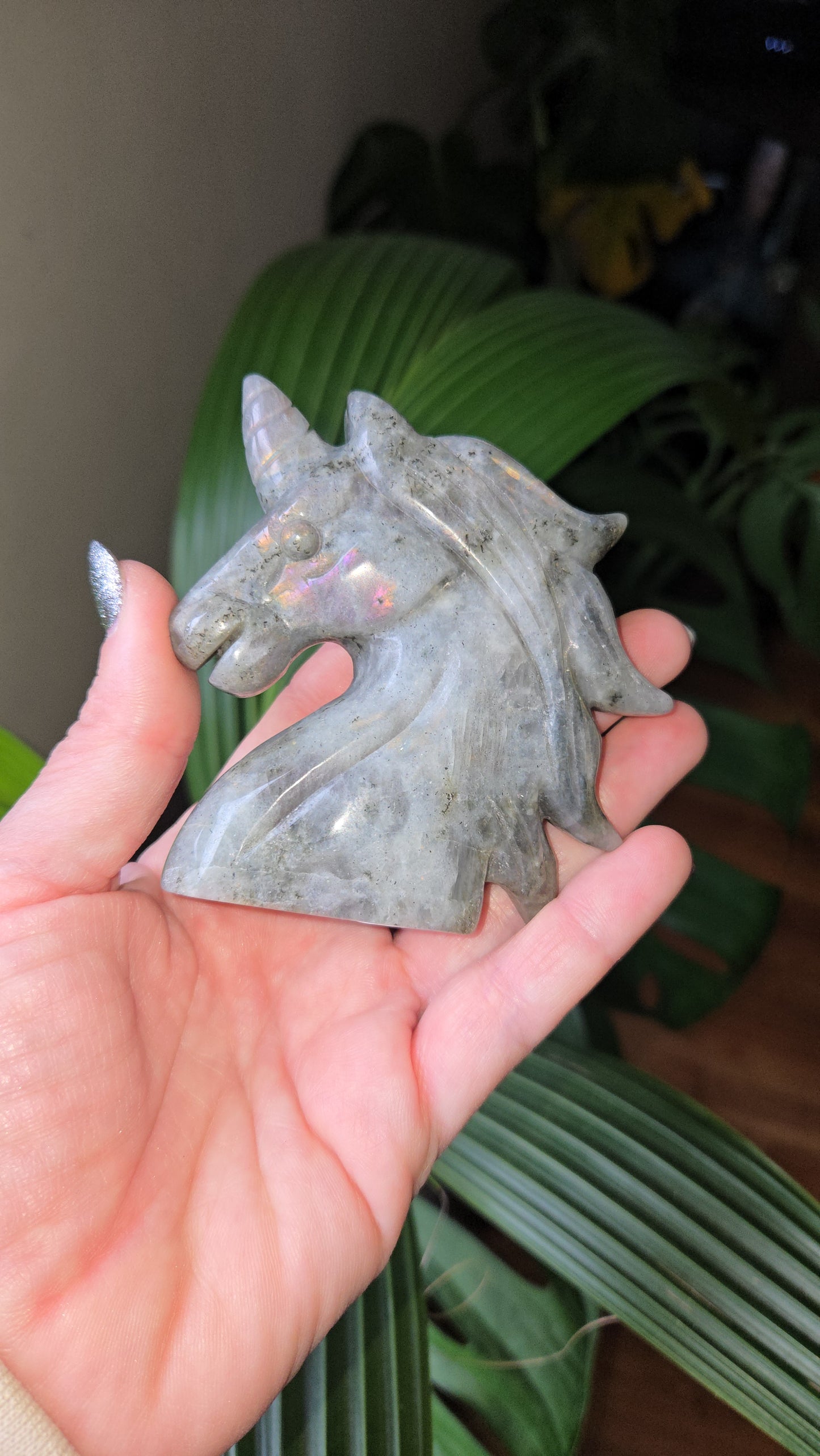 Lab Unicorn Carving 🦄