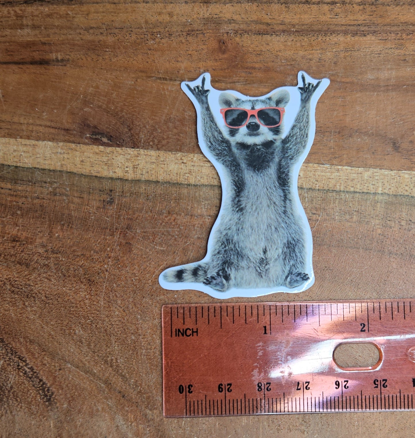 Hands Up Racoon Sticker