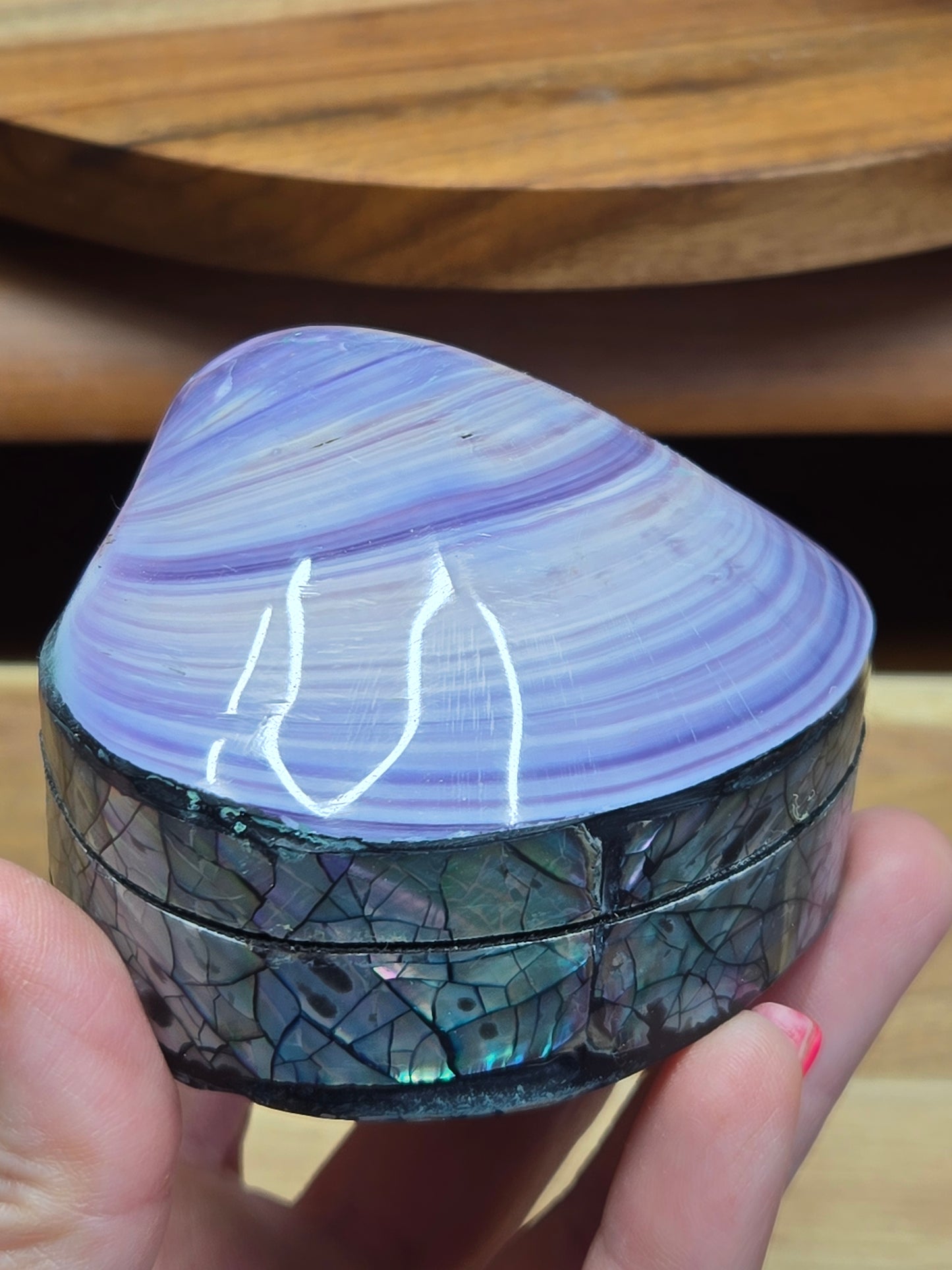 Purple Shell / Abalone Shell 🐚 Box