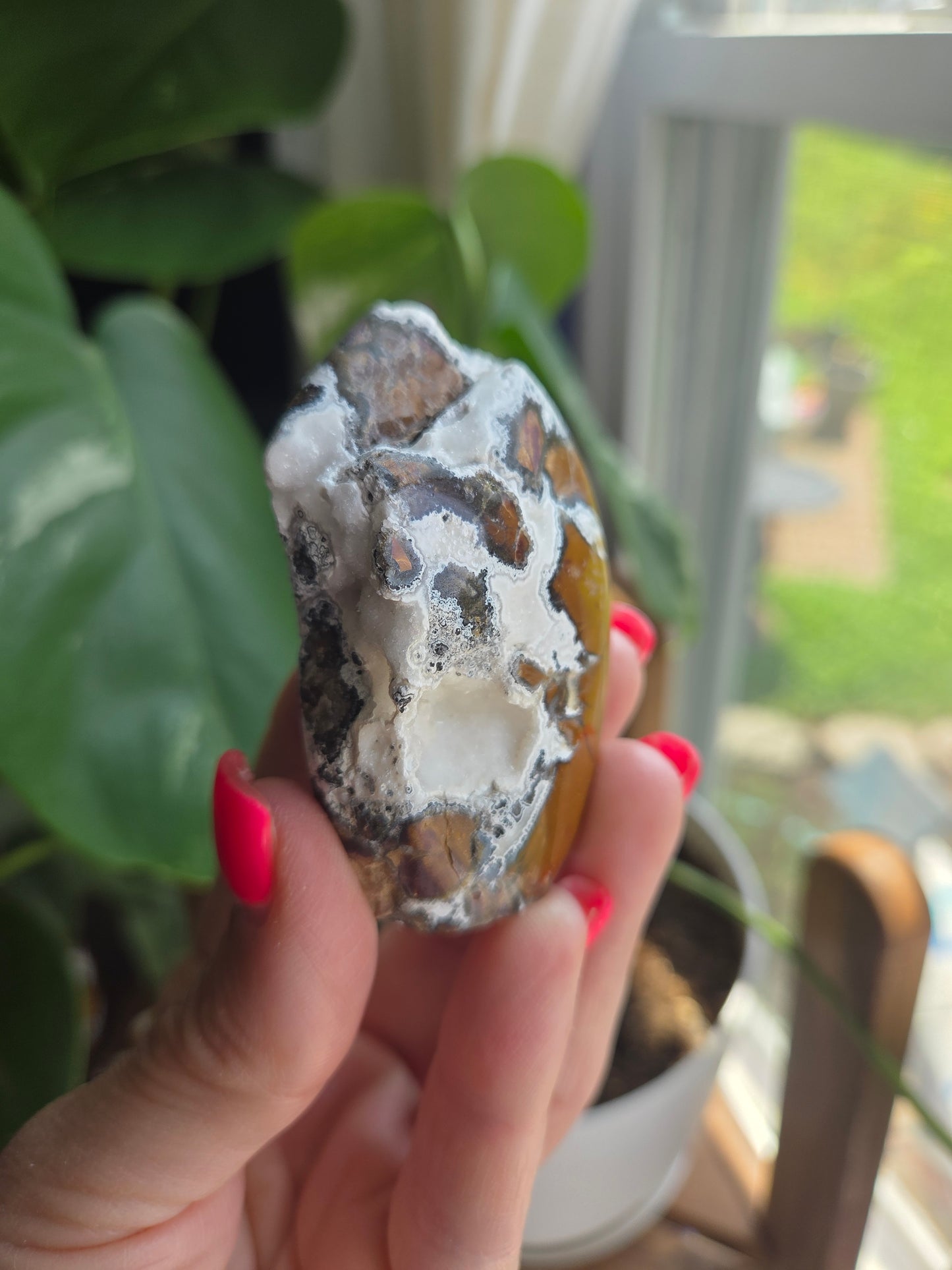 Brecciated Jasper Freeform