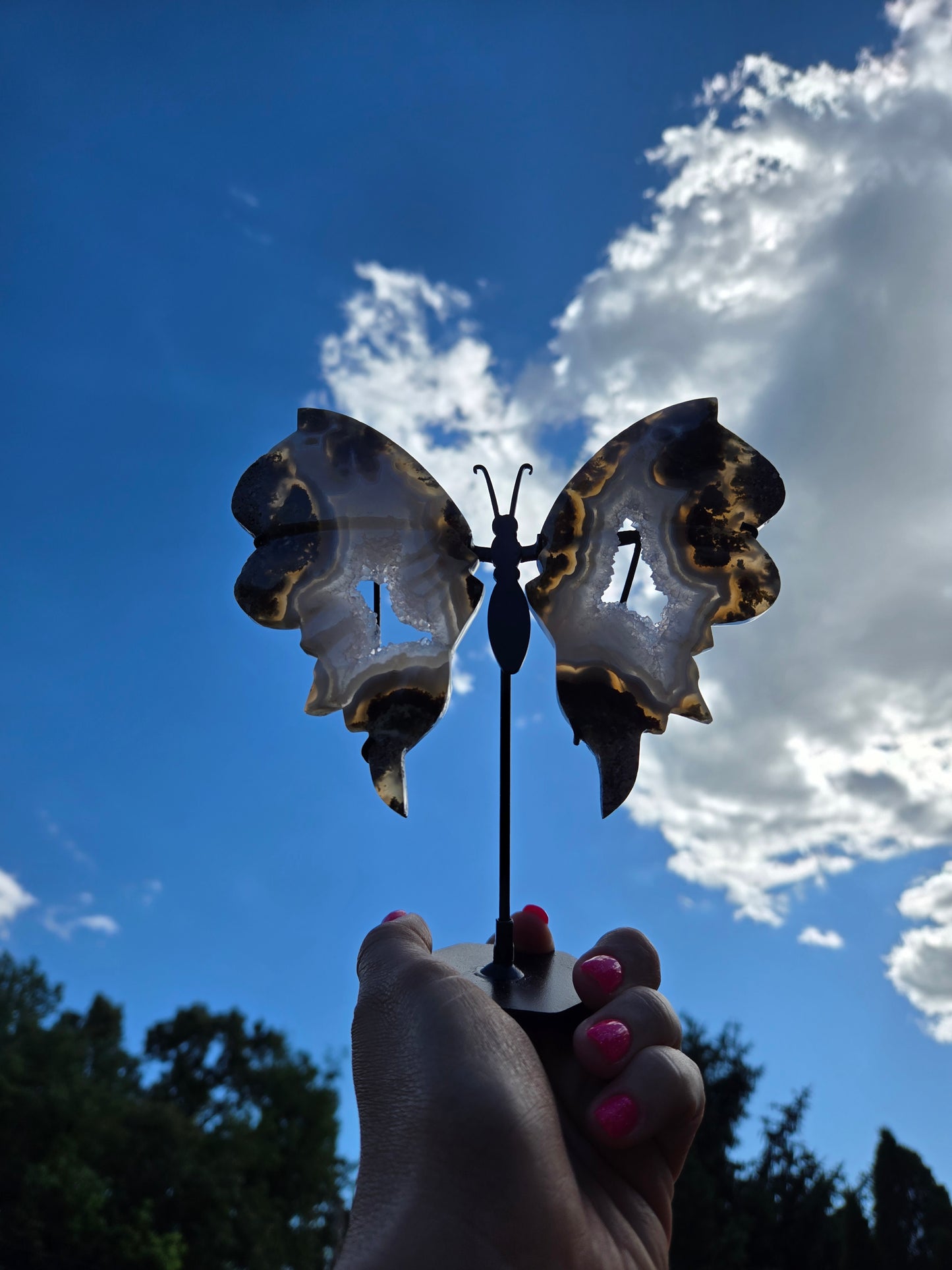 Scenic Moss Butterfly Wings 🦋