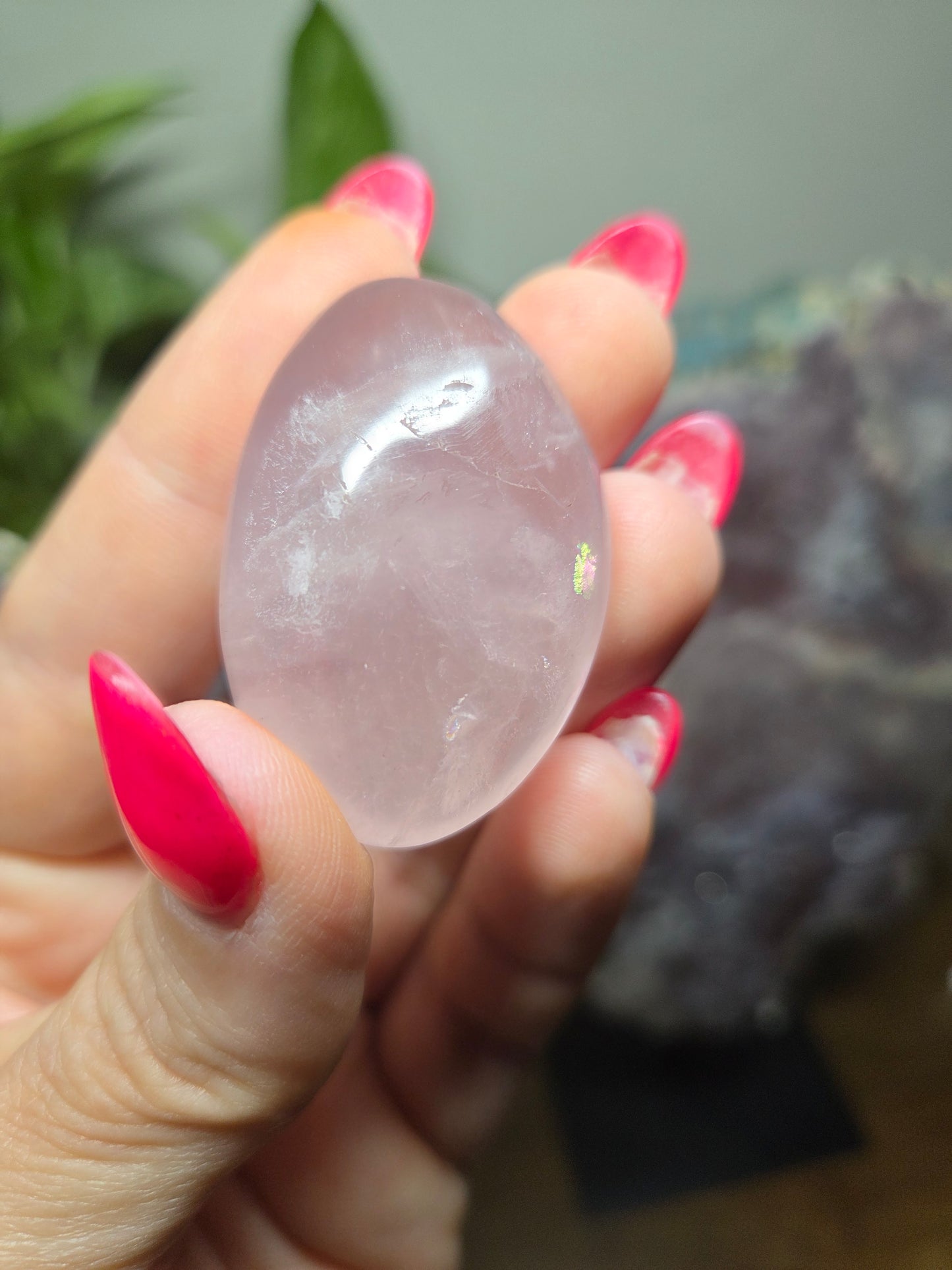 Live Sale thestarr141